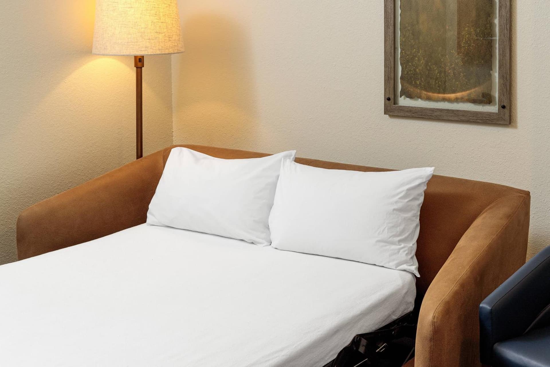 Fairfield Inn & Suites San Angelo gallery photo in San Angelo, TX — image 23