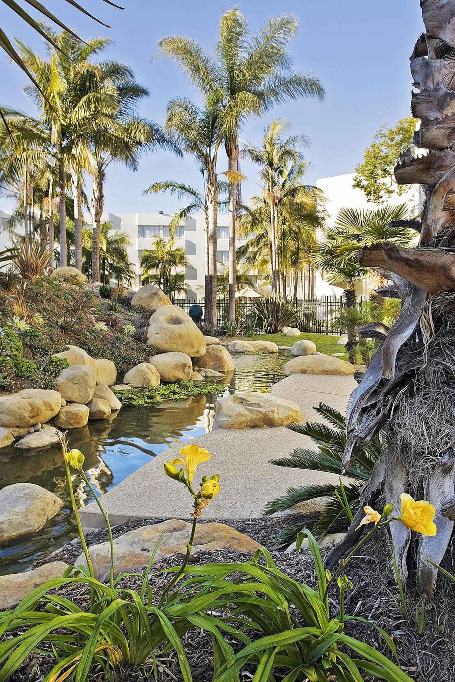 Ventura Beach Marriott gallery photo in Ventura, CA — image 31