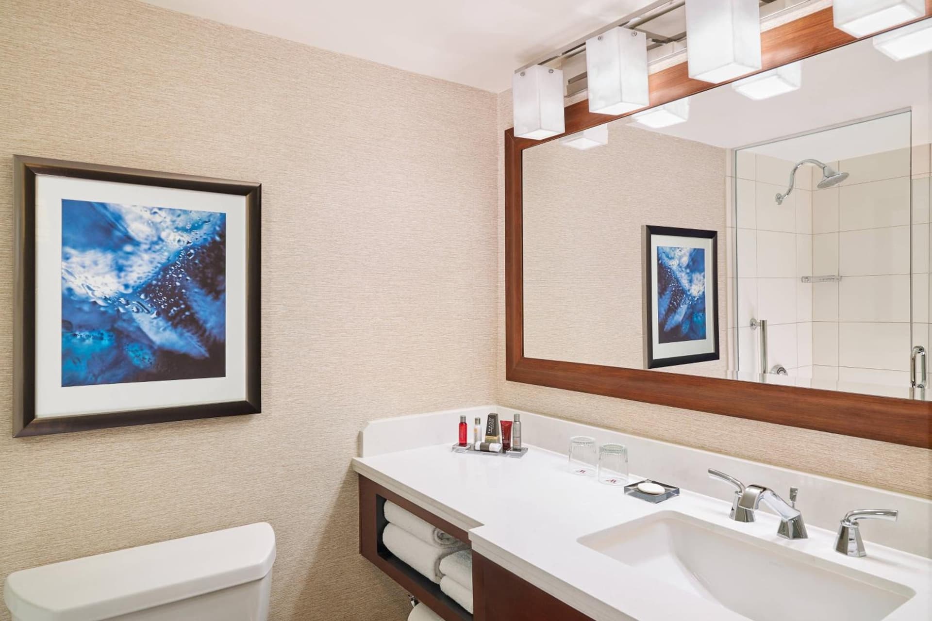 Marriott Chicago O’Hare gallery photo in Rosemont, IL — image 16