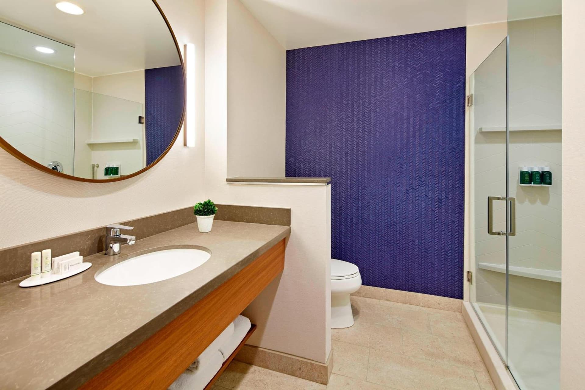 Fairfield by Marriott Inn & Suites Indio Coachella Valley gallery photo in Indio, CA — image 26