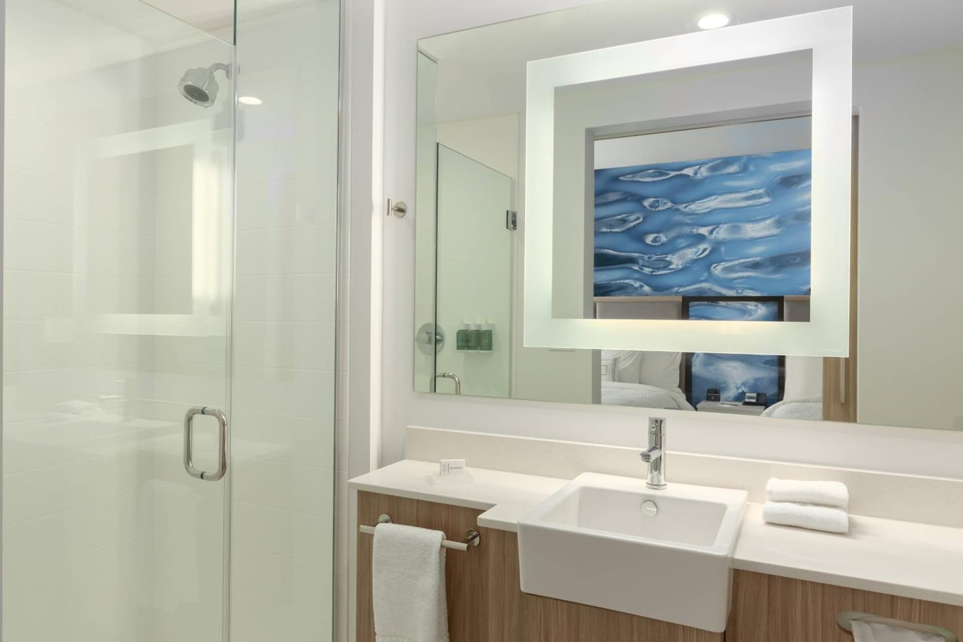 SpringHill Suites by Marriott Bradenton Downtown/Riverfront gallery photo in Bradenton, FL — image 11