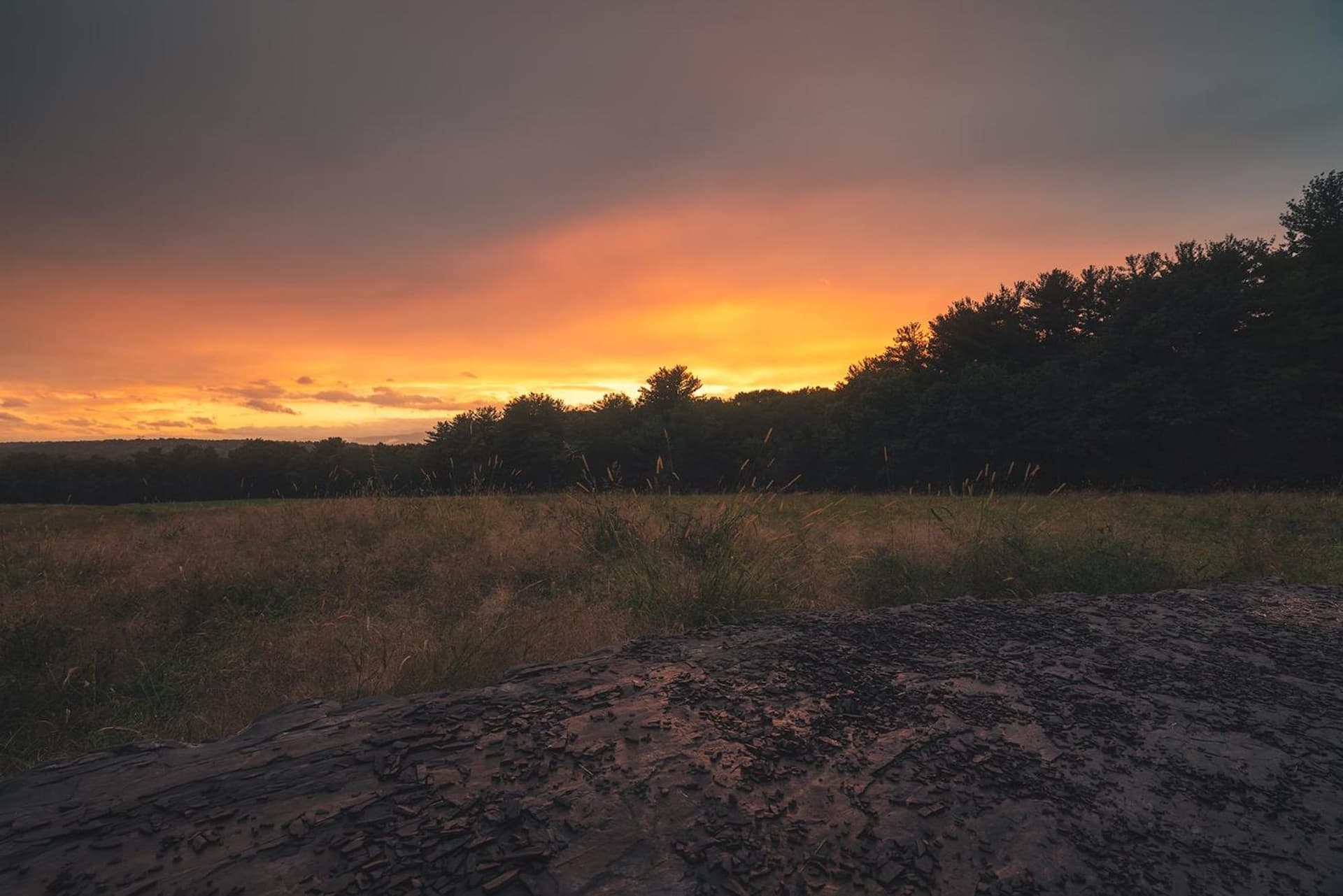 Gather Greene gallery photo in Coxsackie — image 8