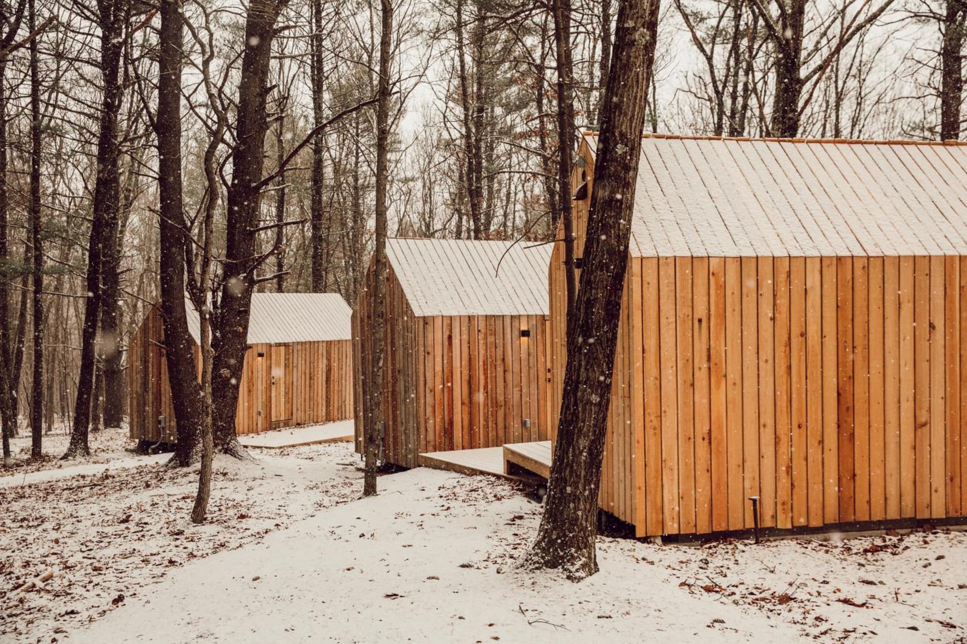 Gather Greene gallery photo in Coxsackie — image 10