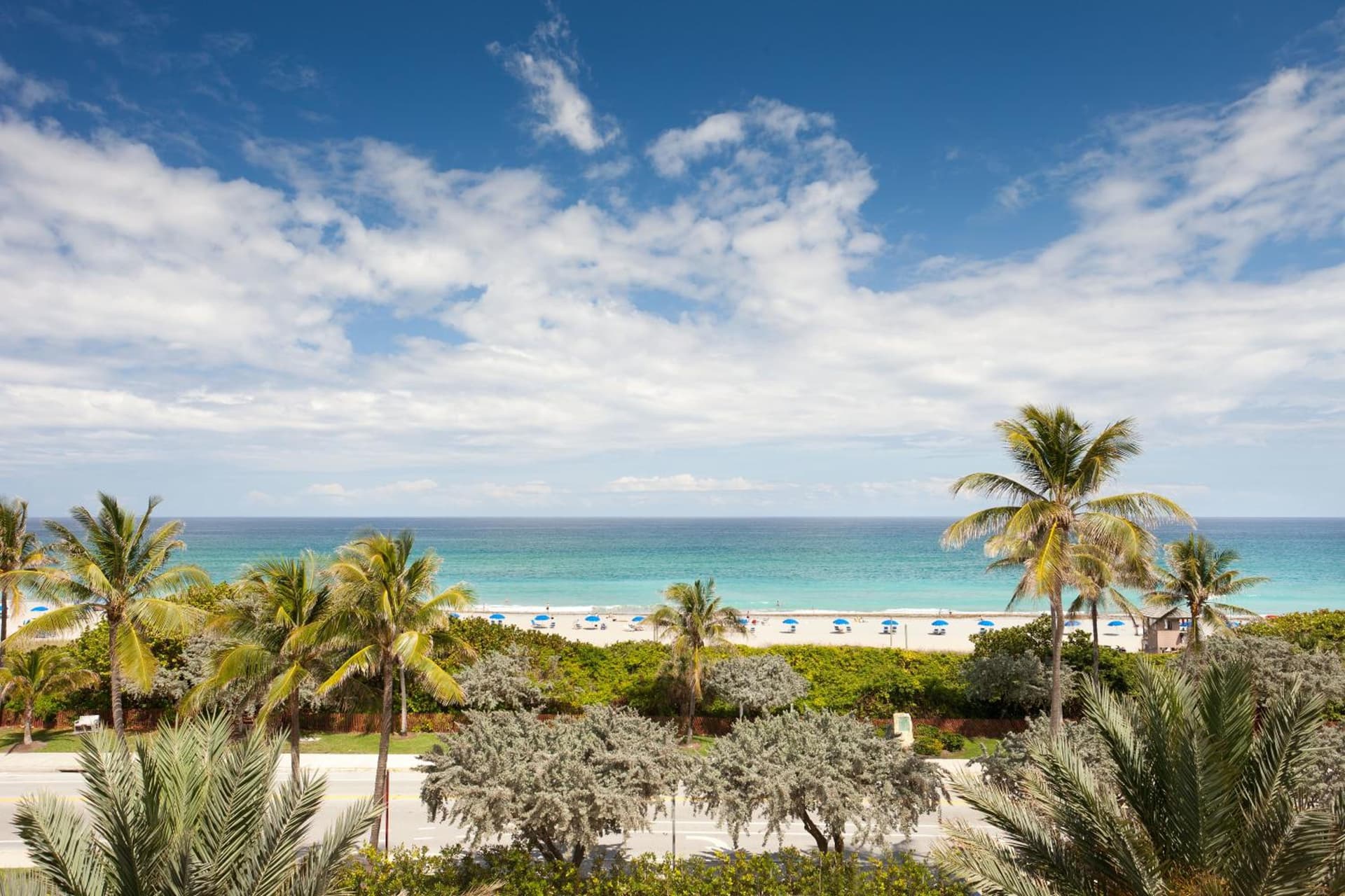 Opal Grand Oceanfront Resort & Spa gallery photo in Delray Beach, FL — image 37