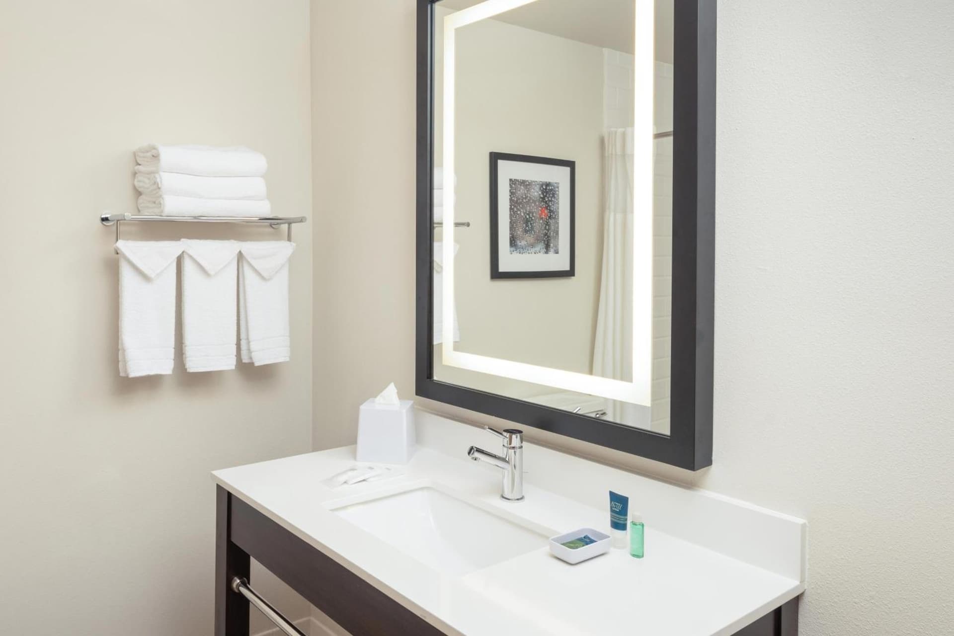 Four Points by Sheraton Chicago Schaumburg gallery photo in Schaumburg, IL — image 6