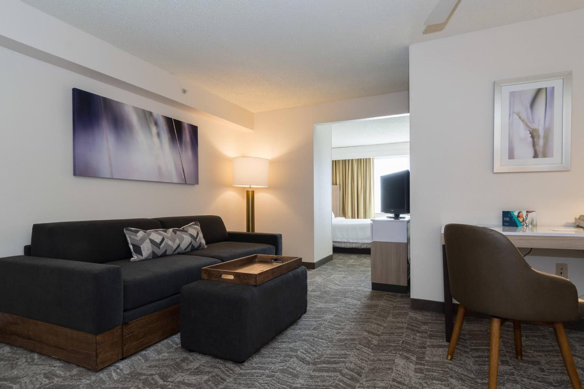 SpringHill Suites by Marriott Charlotte / Concord Mills Speedway gallery photo in Concord, NC — image 20