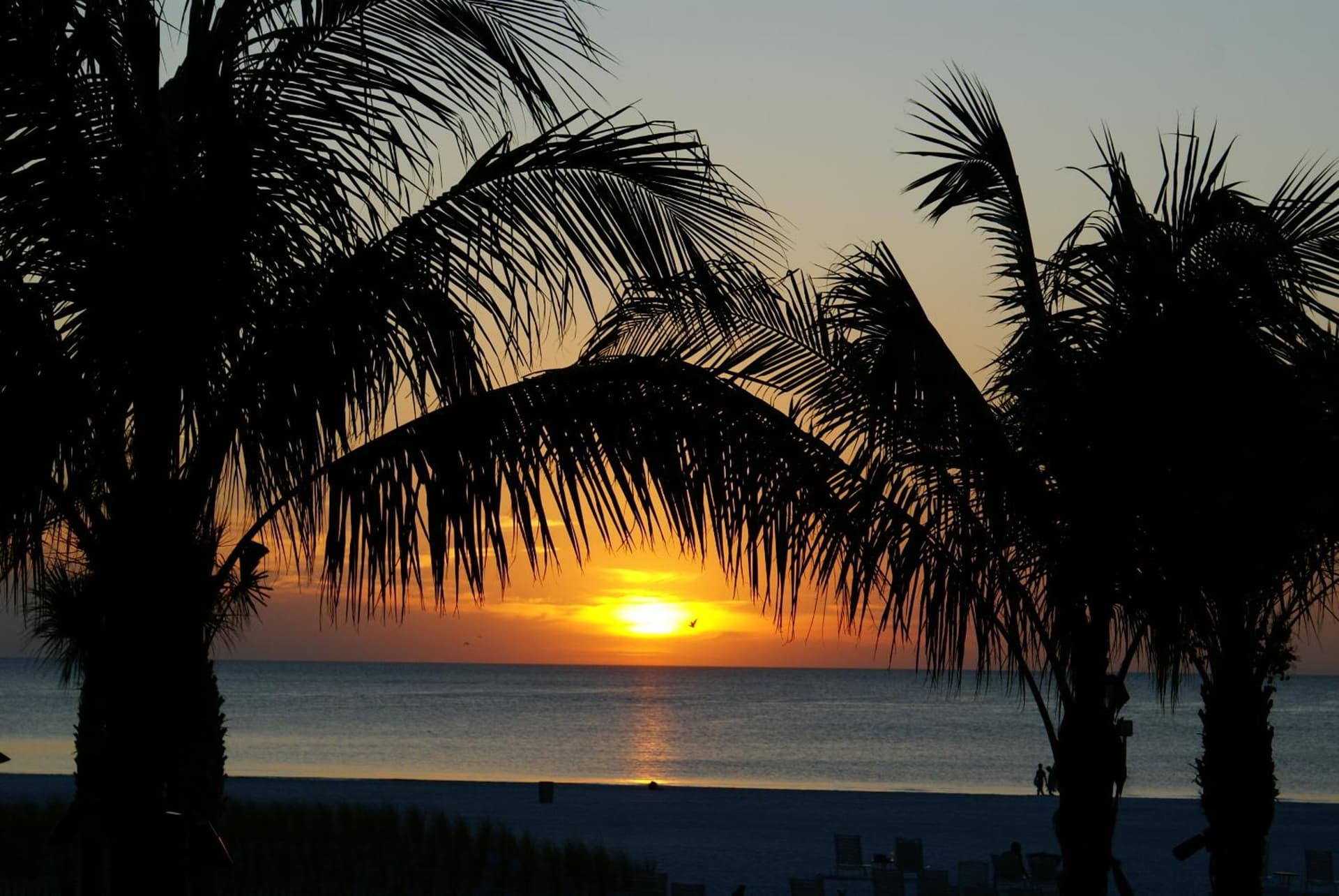 Sandpearl Resort Private Beach gallery photo in Clearwater Beach, FL — image 46