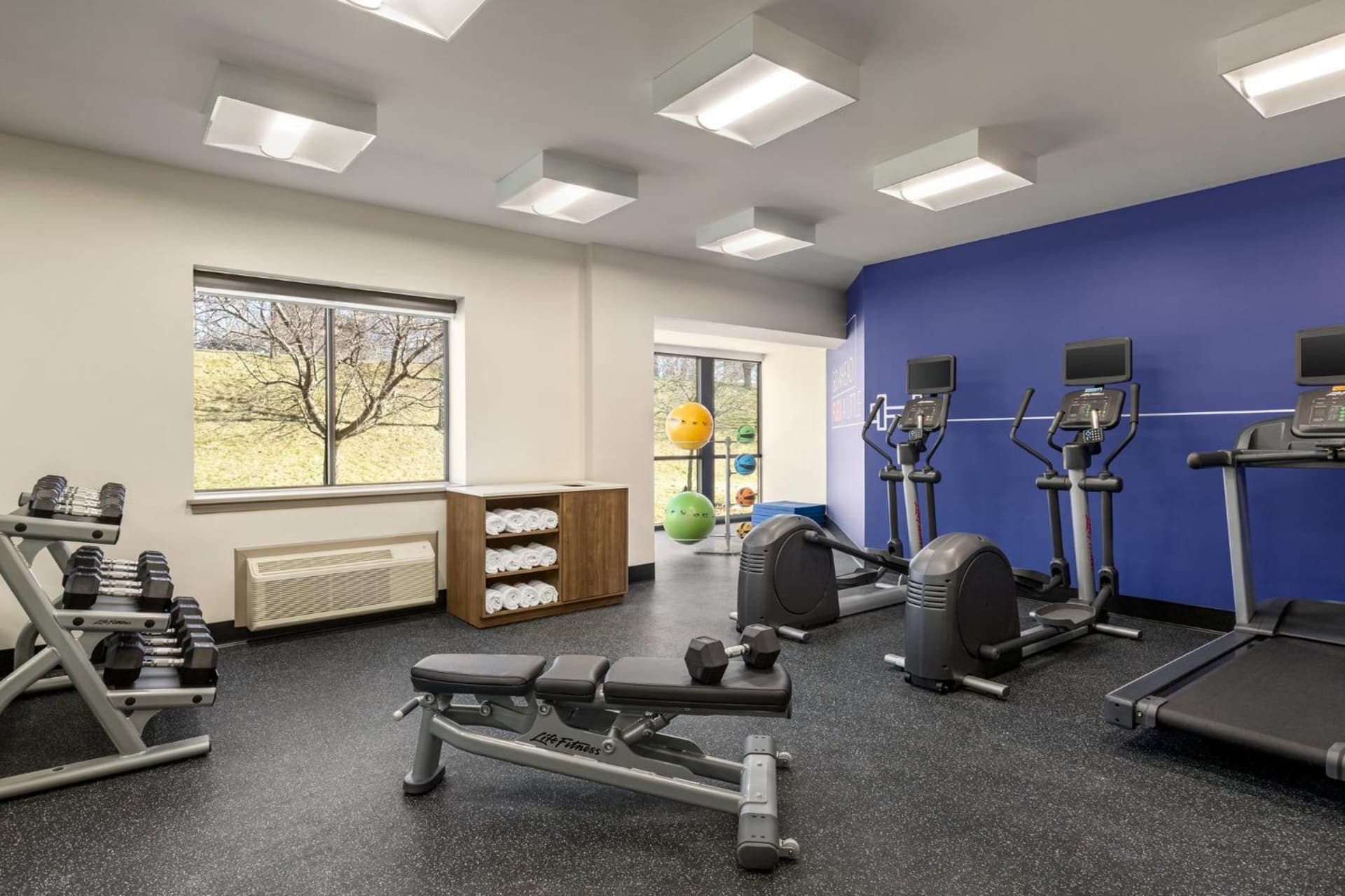 Holiday Inn Express & Suites East Greenbush Albany-Skyline by IHG gallery photo in Rensselaer, NY — image 42