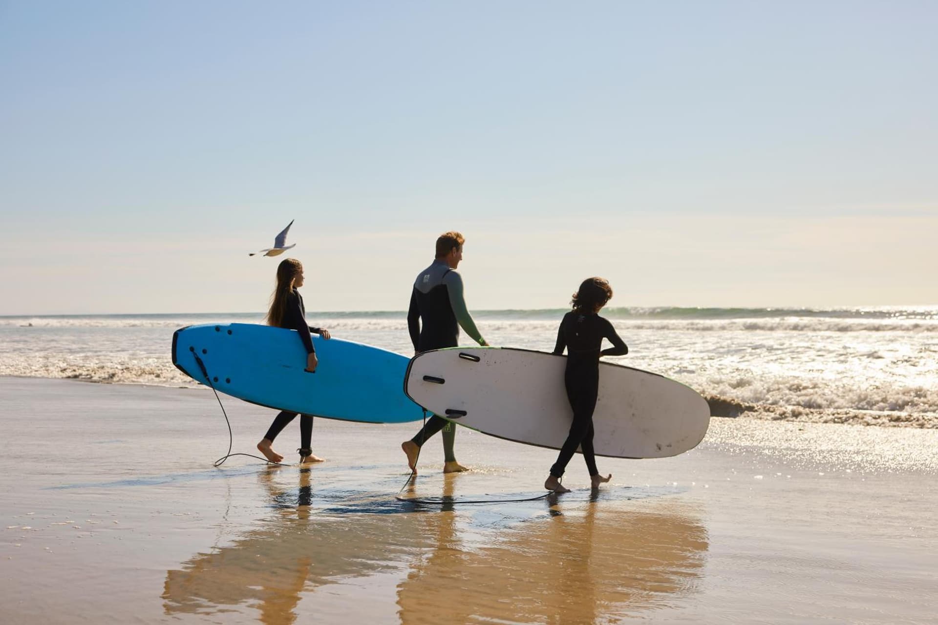 The Seabird Ocean Resort & Spa, Part of Destination Hotel by Hyatt gallery photo in Oceanside, CA — image 128