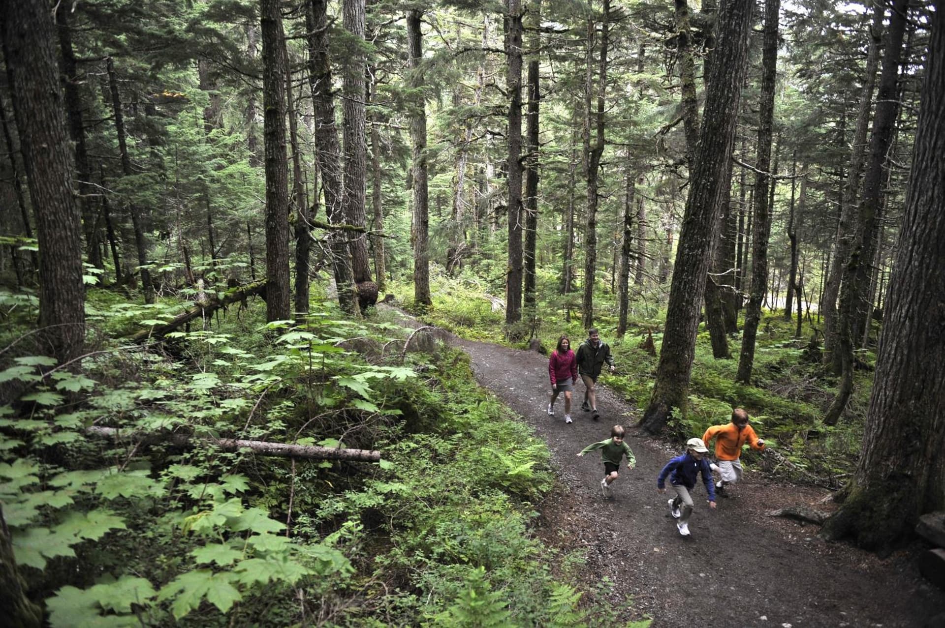 Alyeska Resort gallery photo in Girdwood, AK — image 6