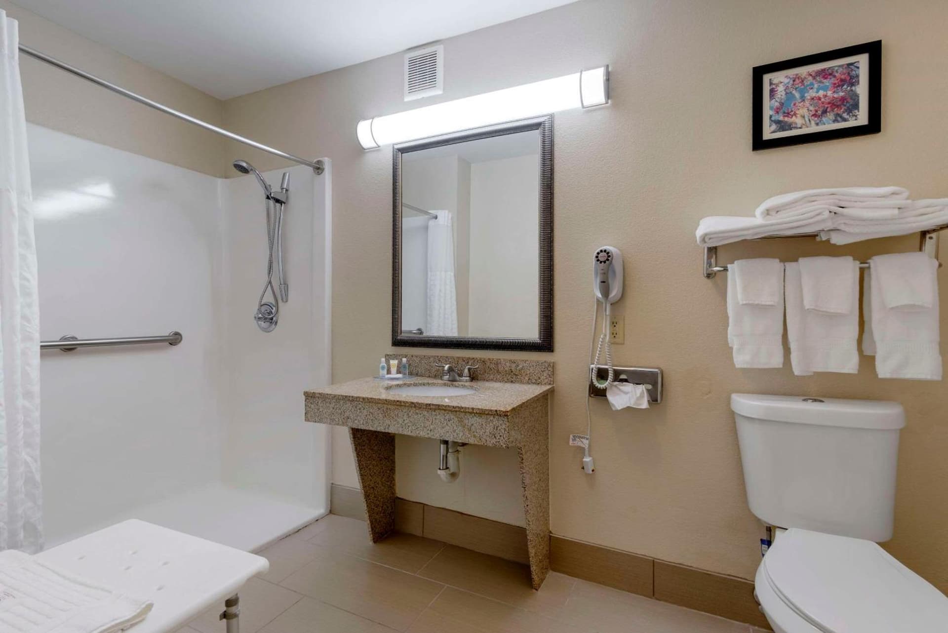 Comfort Suites Columbus State University Area gallery photo in Columbus, GA — image 10