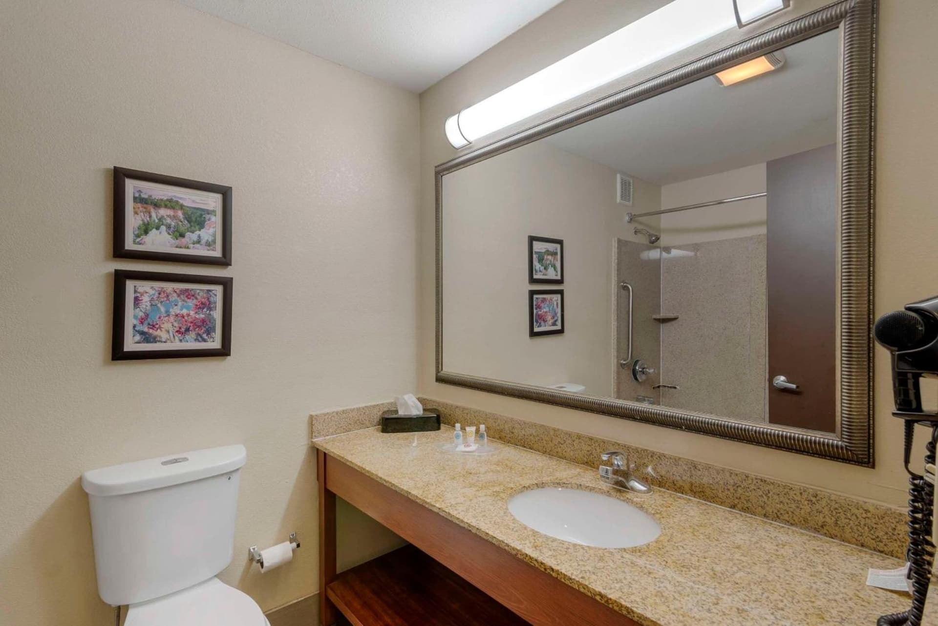 Comfort Suites Columbus State University Area gallery photo in Columbus, GA — image 29