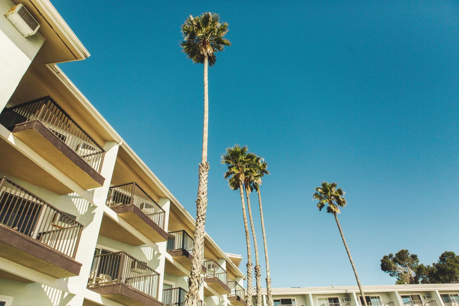 Pacific Point Resort gallery photo in Pismo Beach, CA — image 12