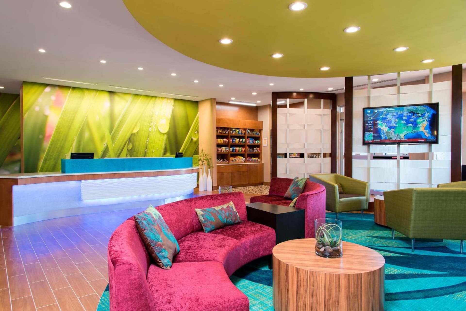 SpringHill Suites Houston Sugarland gallery photo in Sugar Land, TX — image 5