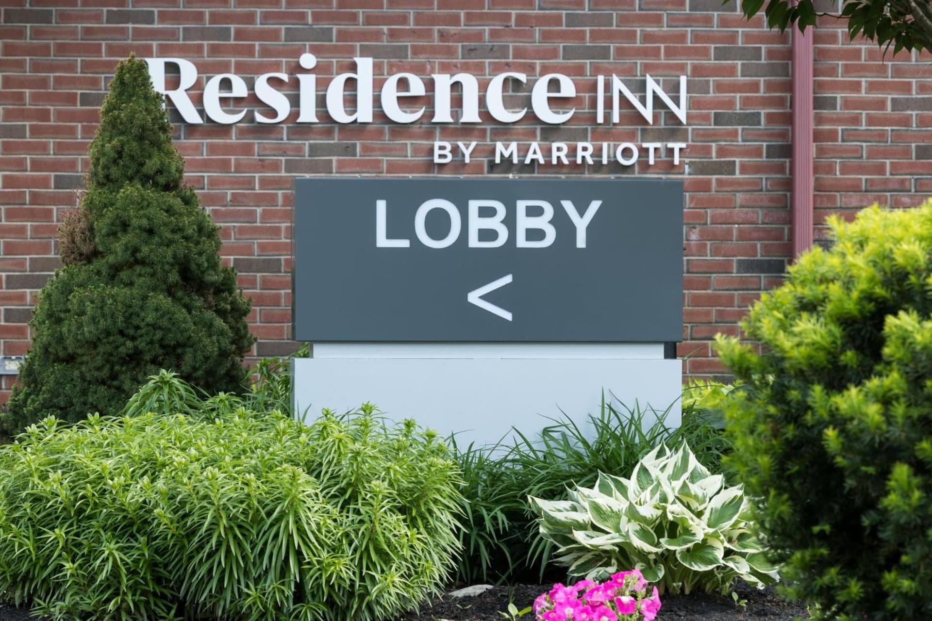 Residence Inn by Marriott Boston Westford gallery photo in Westford — image 24