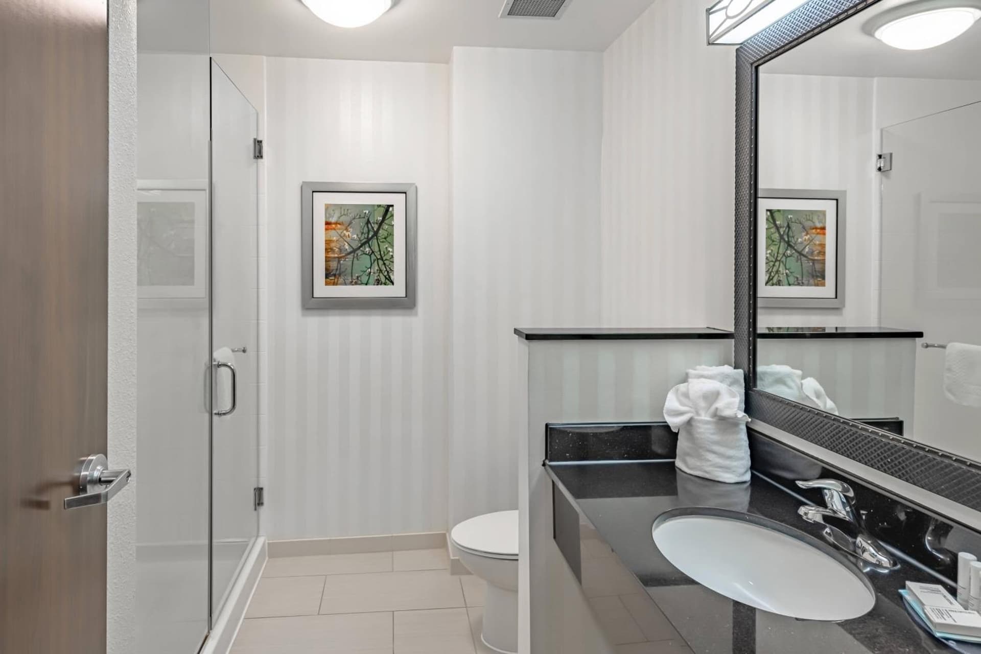 Fairfield Inn & Suites by Marriott New Braunfels gallery photo in New Braunfels, TX — image 11