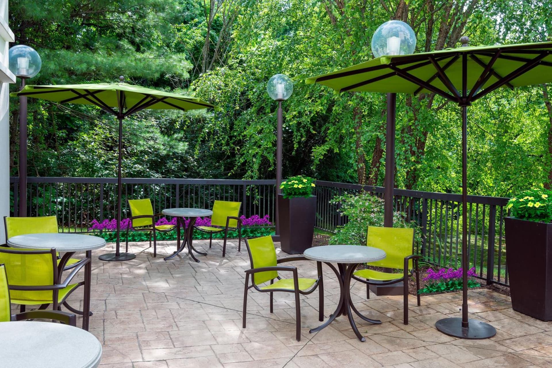 SpringHill Suites Asheville interior in Asheville, NC — gallery photo 2
