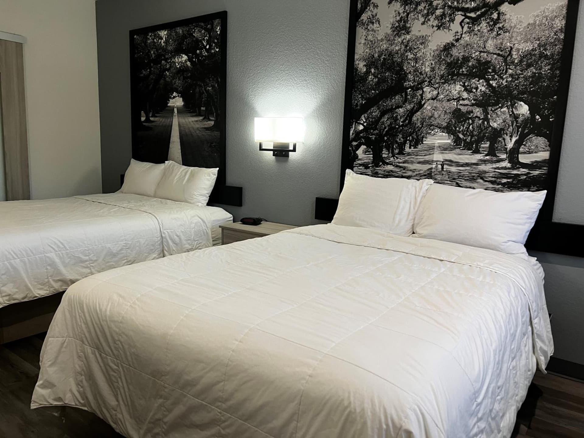 Super 8 by Wyndham Rosenberg TX property views in Rosenberg, TX — gallery photo 3