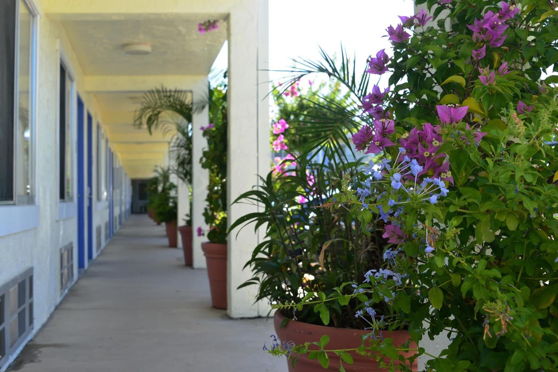 Americas Best Value Inn Bradenton-Sarasota gallery photo in Bradenton, FL — image 28