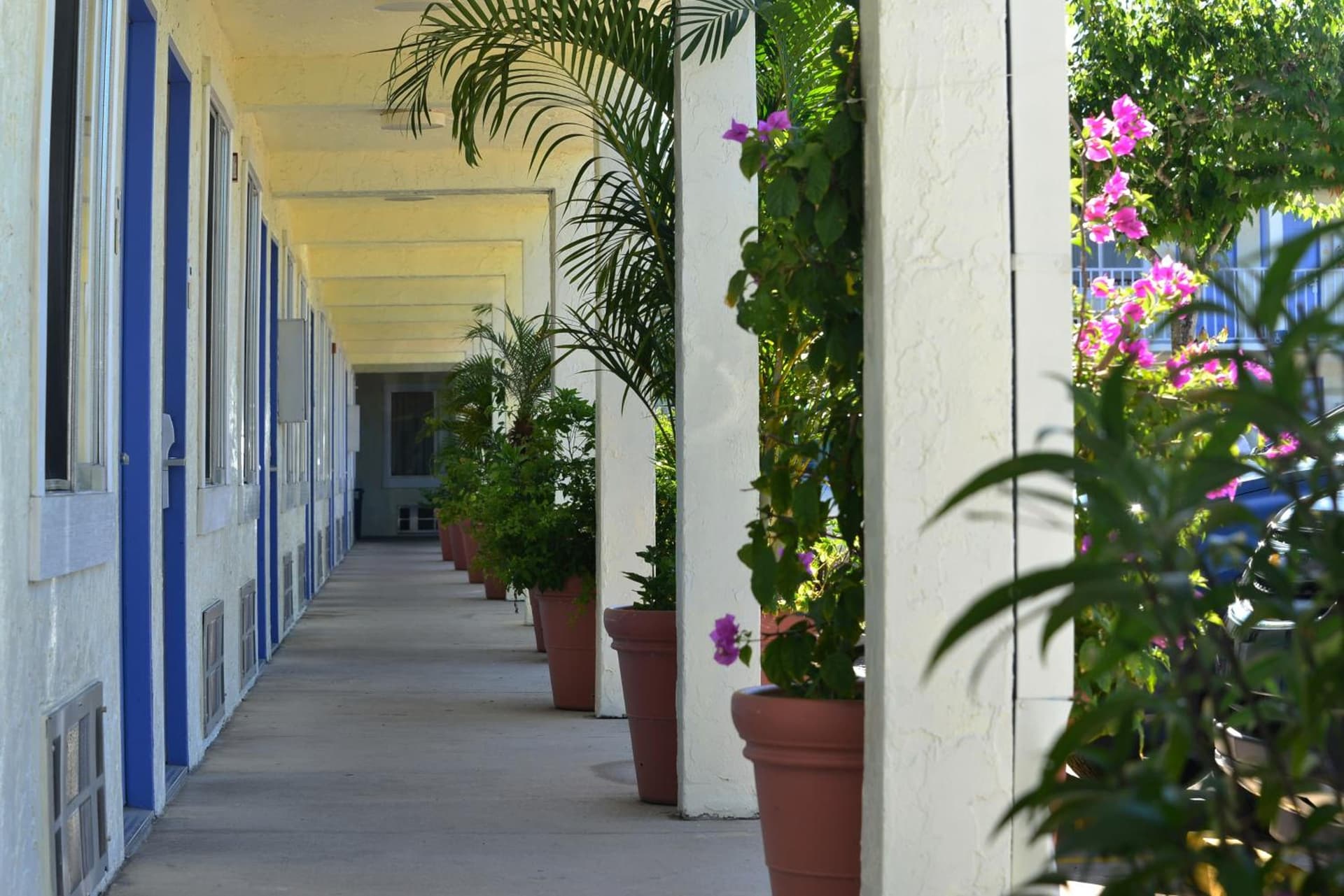 Americas Best Value Inn Bradenton-Sarasota interior in Bradenton, FL — gallery photo 2