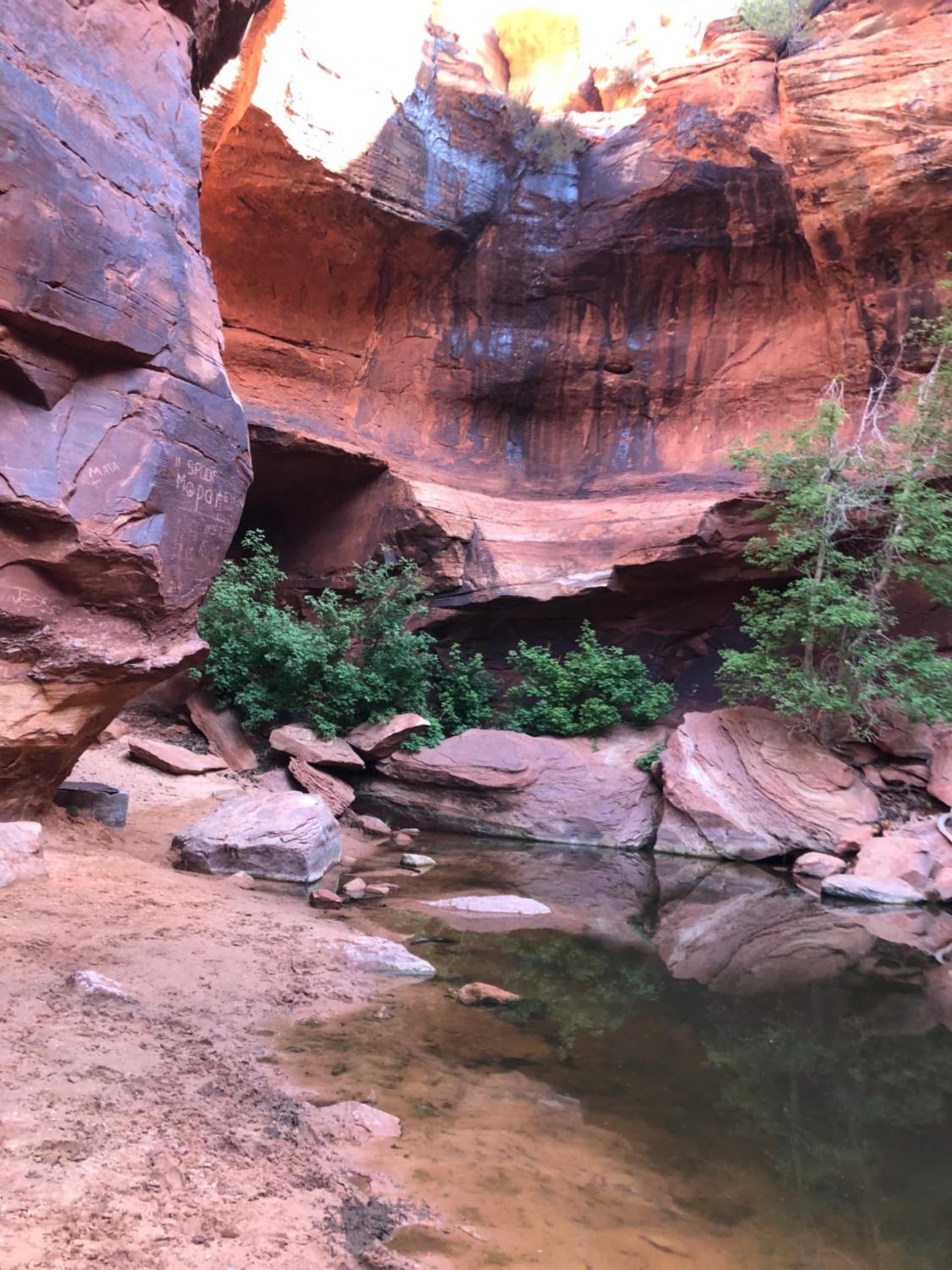 Zion Cliff Lodge gallery photo in Hildale, UT — image 62