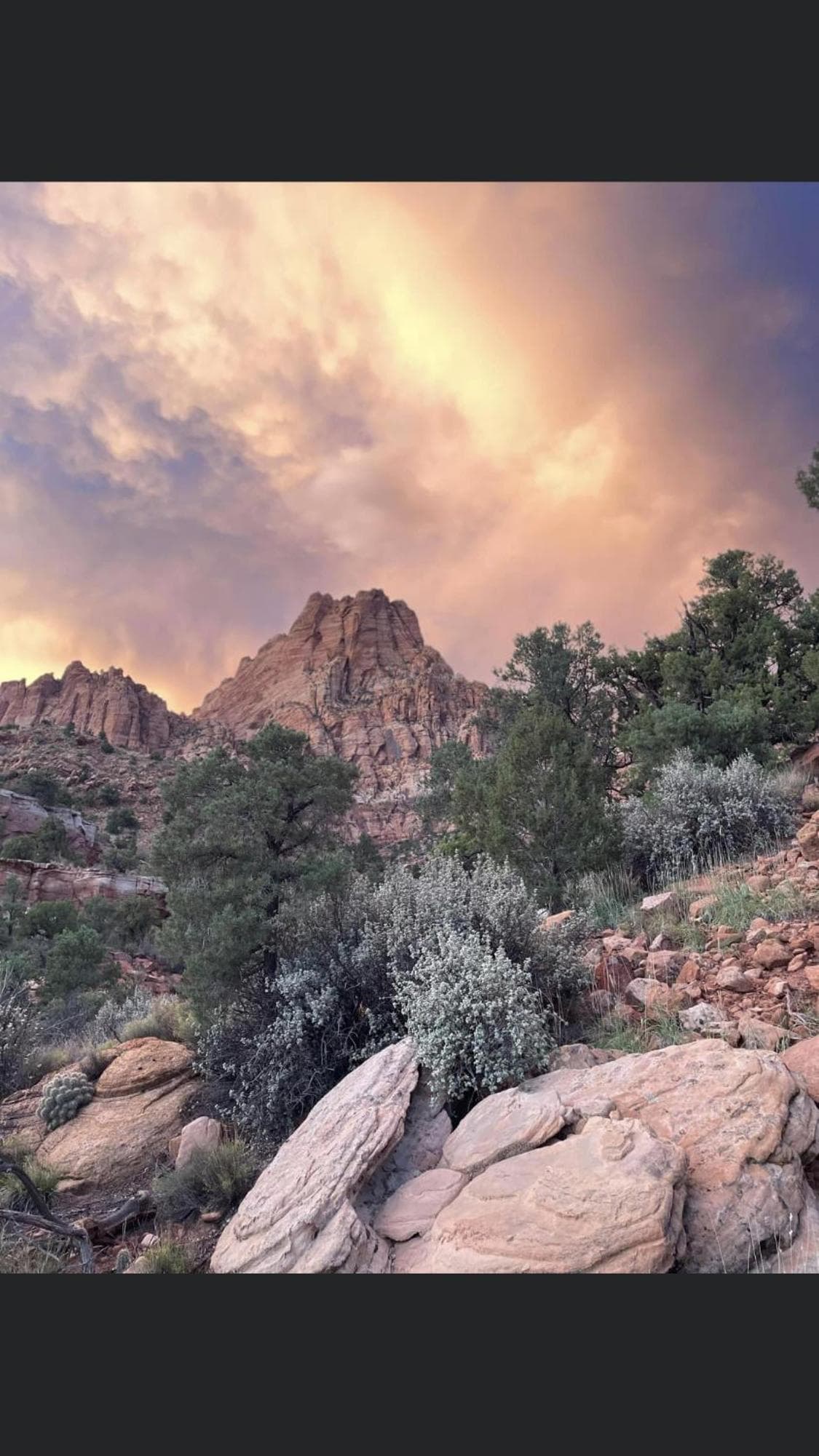 Zion Cliff Lodge gallery photo in Hildale, UT — image 57