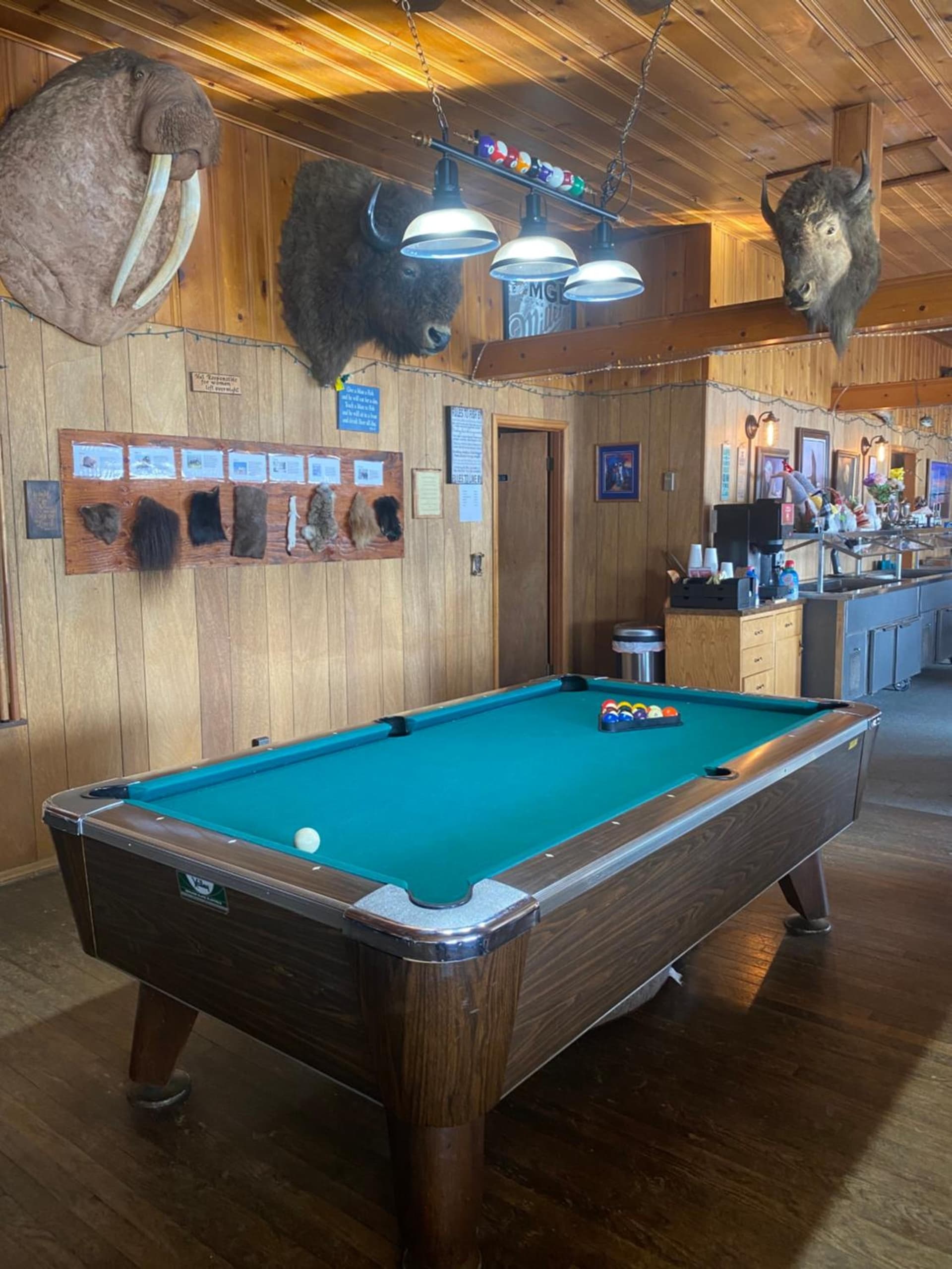 Tolsona Lake Lodge property views in Glennallen, AK — gallery photo 3