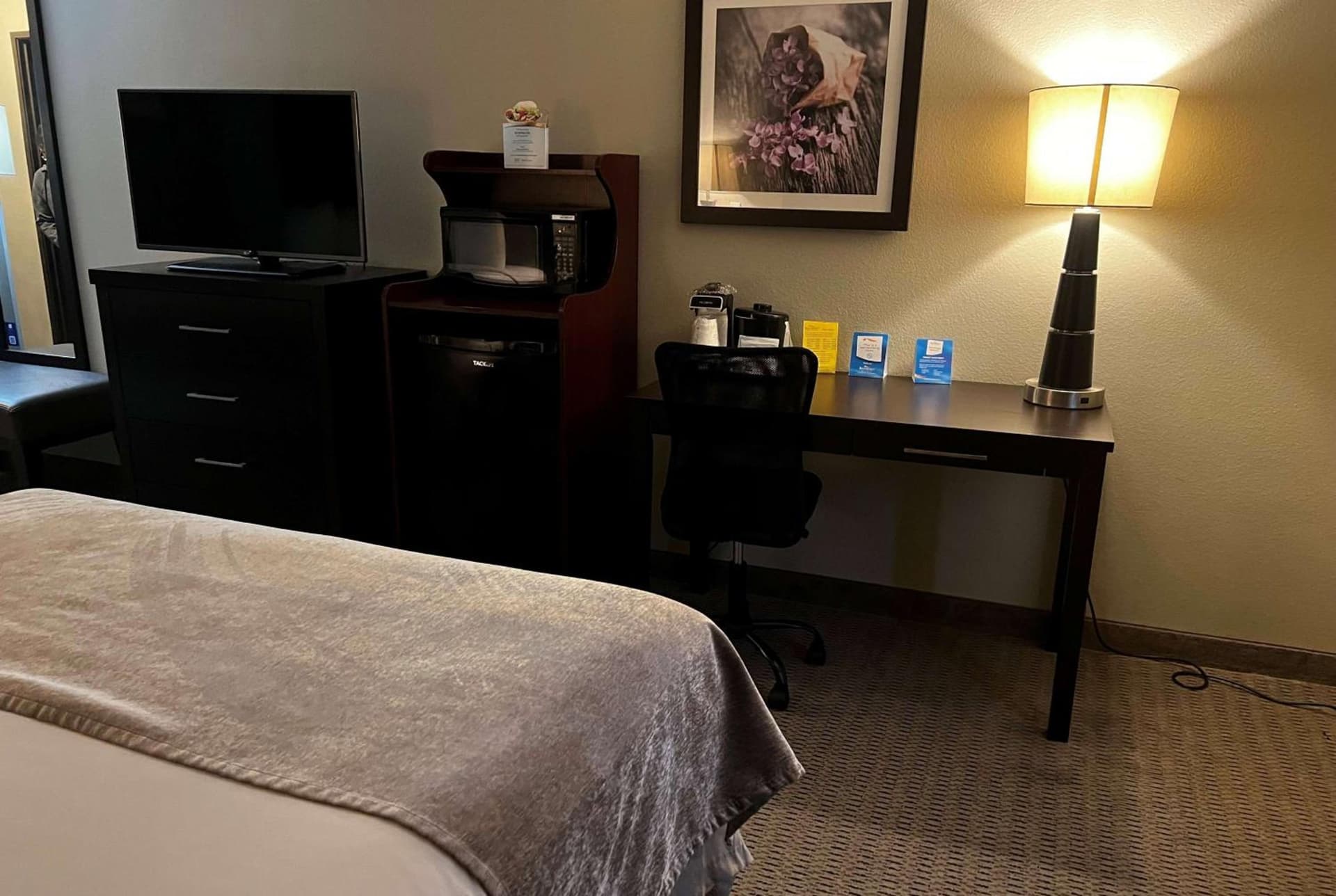 Baymont by Wyndham College Station gallery photo in College Station, TX — image 68