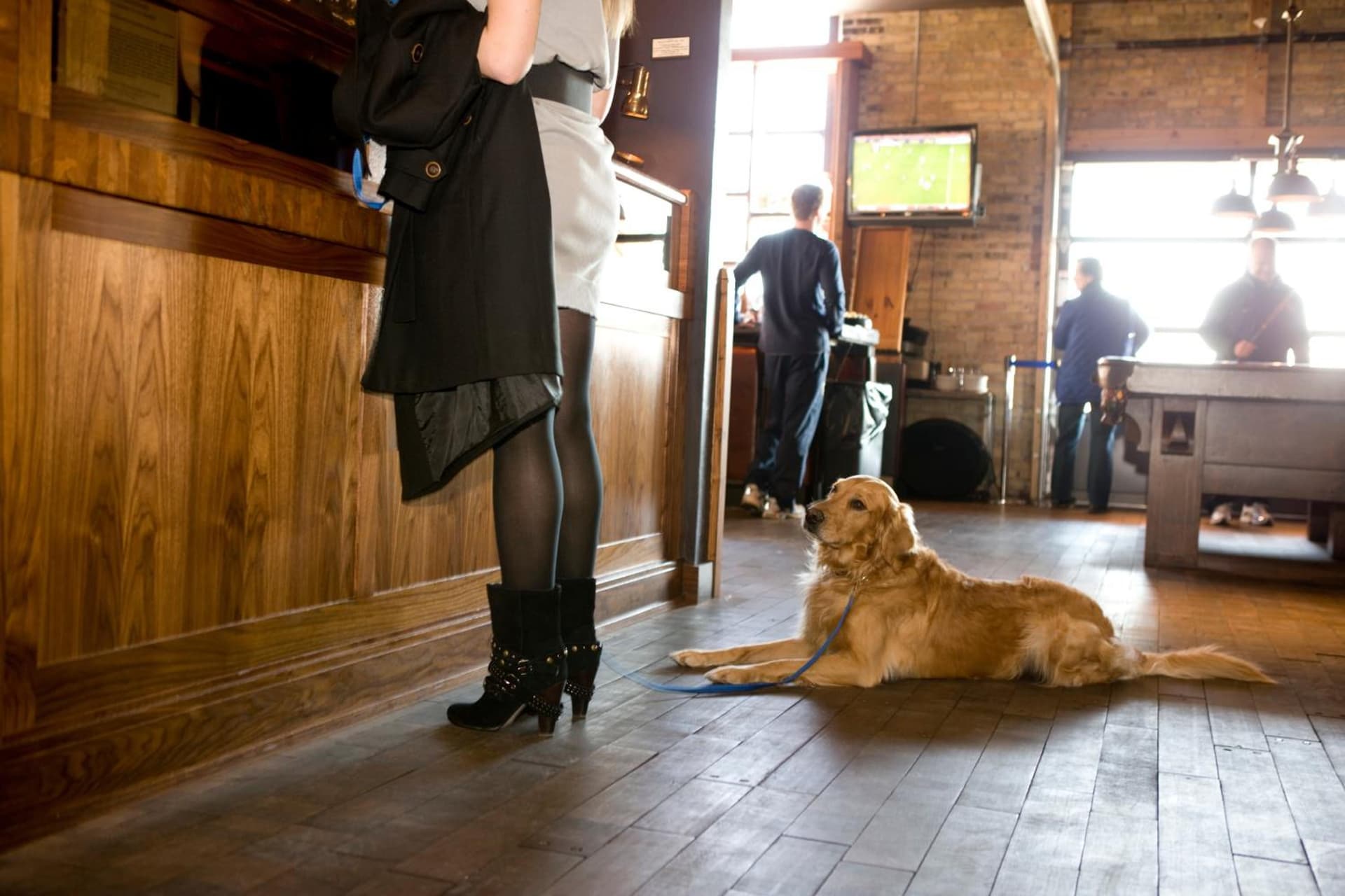 The Iron Horse Hotel gallery photo in Milwaukee, WI — image 75
