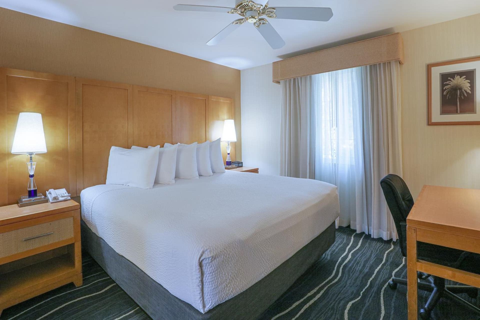 Ramada by Wyndham Costa Mesa/Newport Beach gallery photo in Costa Mesa, CA — image 57