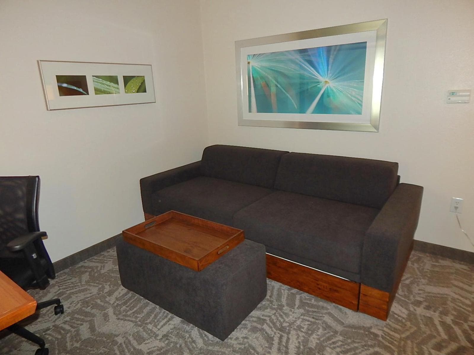 SpringHill Suites by Marriott Corpus Christi gallery photo in Corpus Christi, TX — image 19