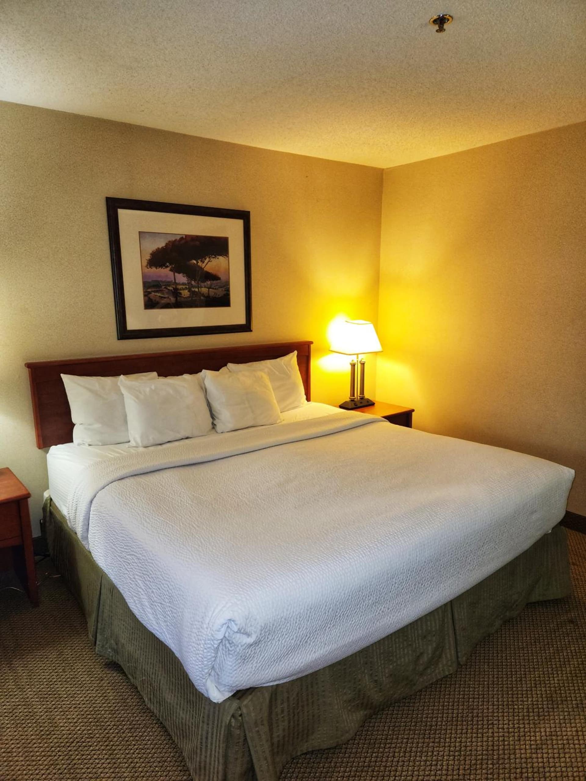 La Quinta by Wyndham Appleton College Avenue gallery photo in Appleton, WI — image 27
