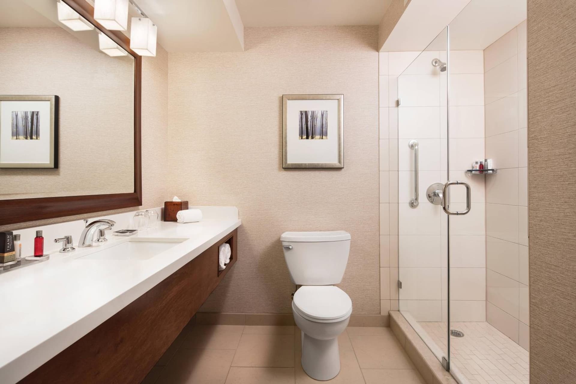 Chicago Marriott Naperville gallery photo in Naperville, IL — image 69