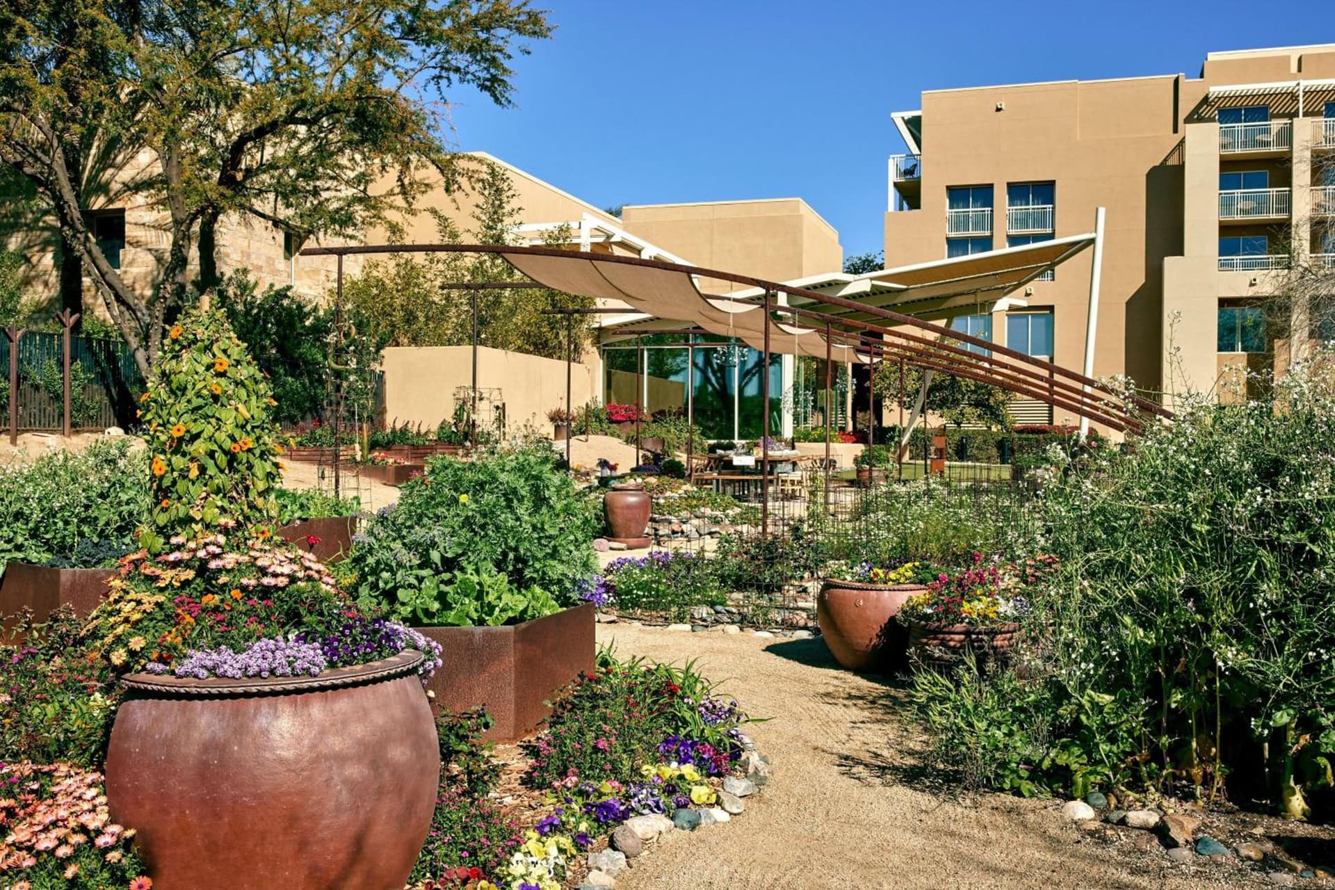 JW Marriott Phoenix Desert Ridge Resort & Spa gallery photo in Phoenix, AZ — image 126