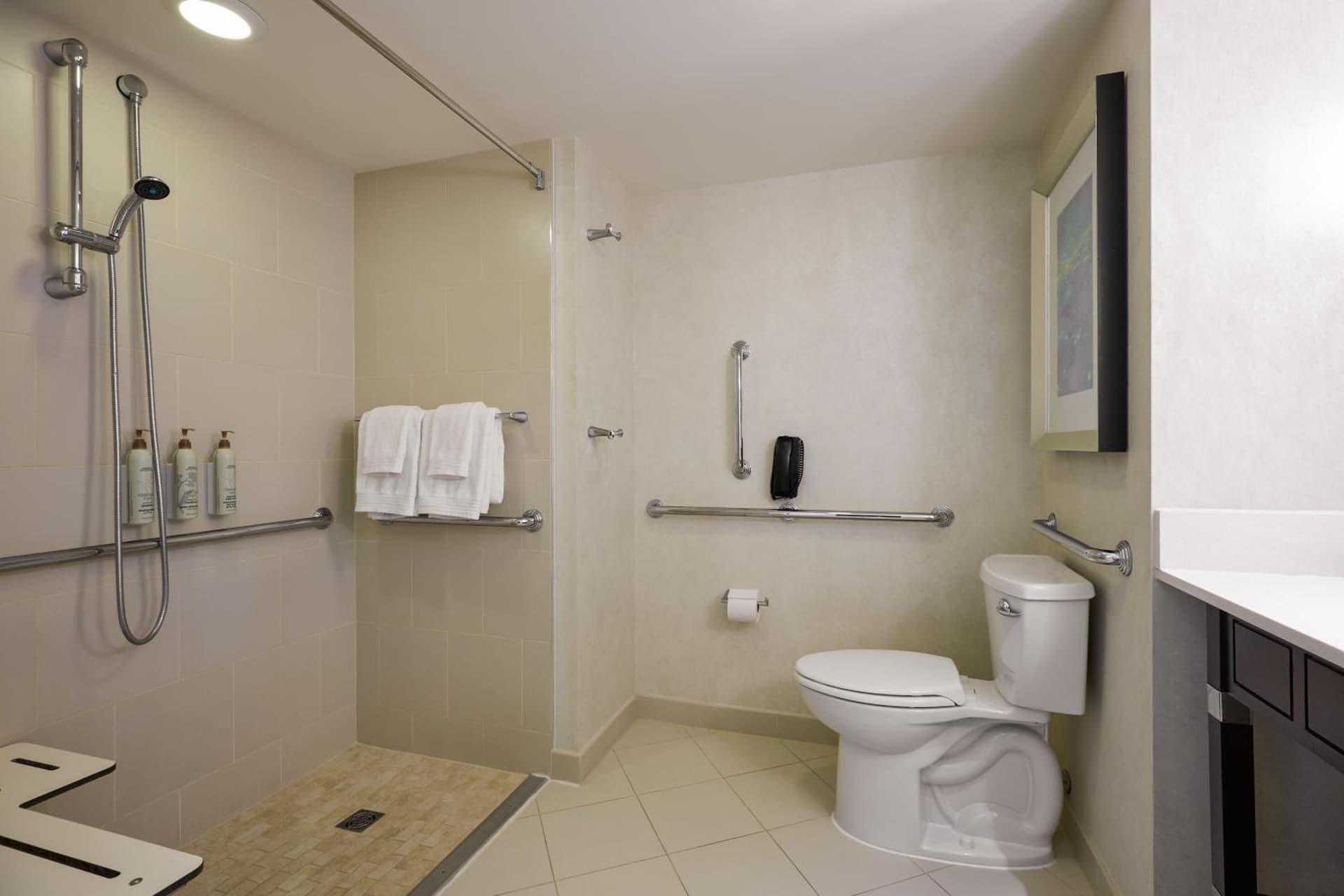 Renaissance Arlington Capital View Hotel gallery photo in Arlington, VA — image 18