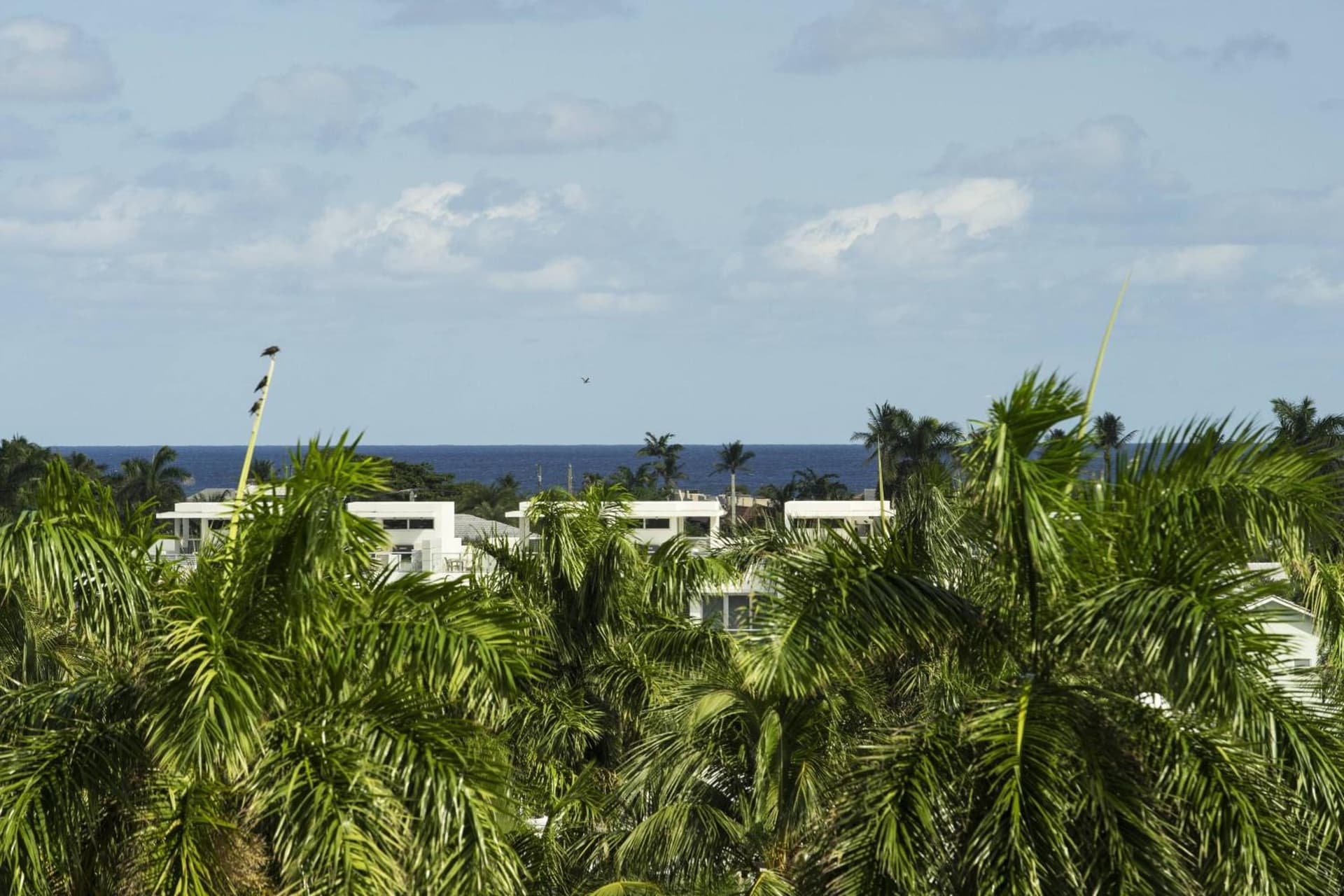 Courtyard by Marriott Delray Beach gallery photo in Delray Beach, FL — image 24