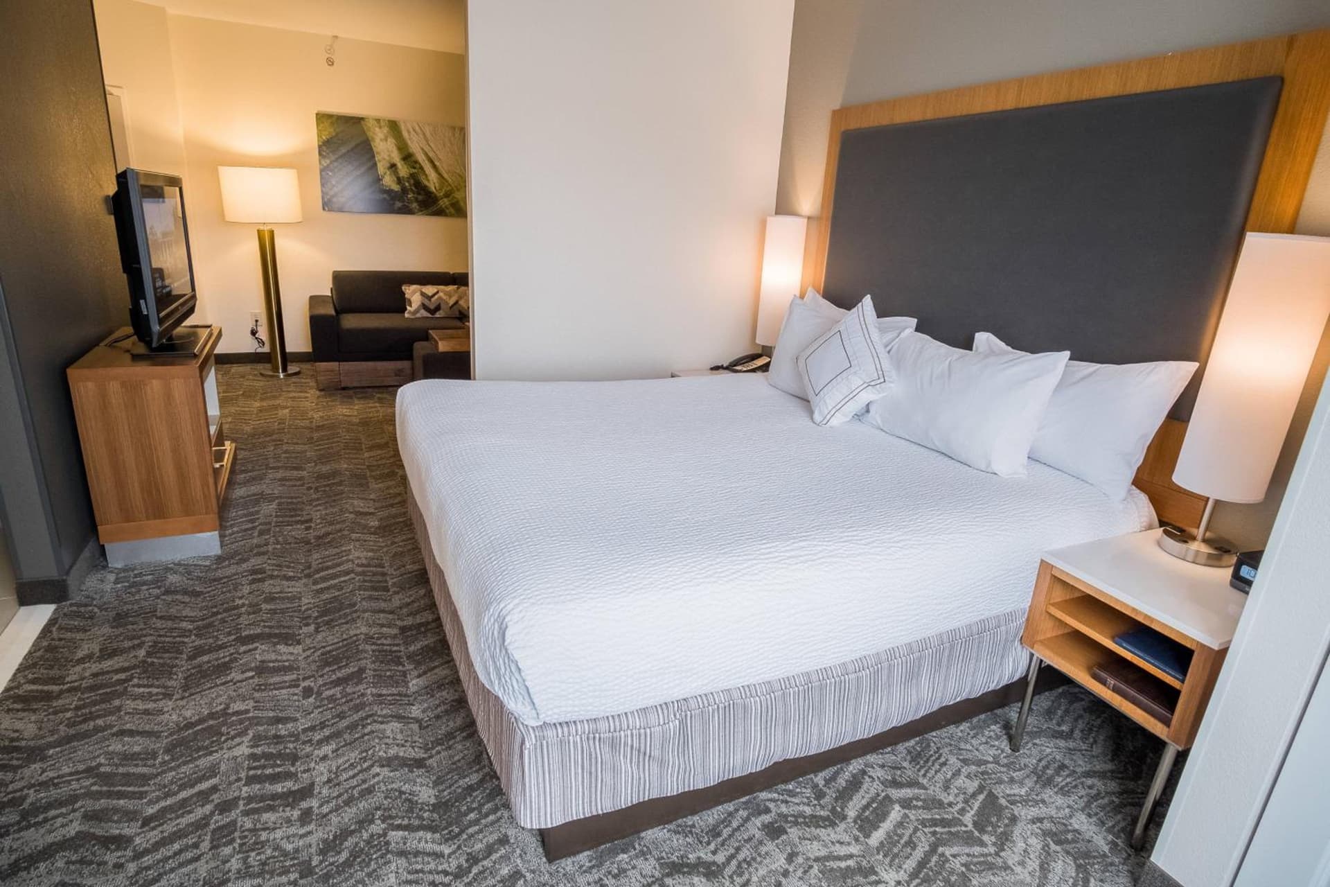 SpringHill Suites by Marriott Winston-Salem Hanes Mall gallery photo in Winston-Salem, NC — image 11