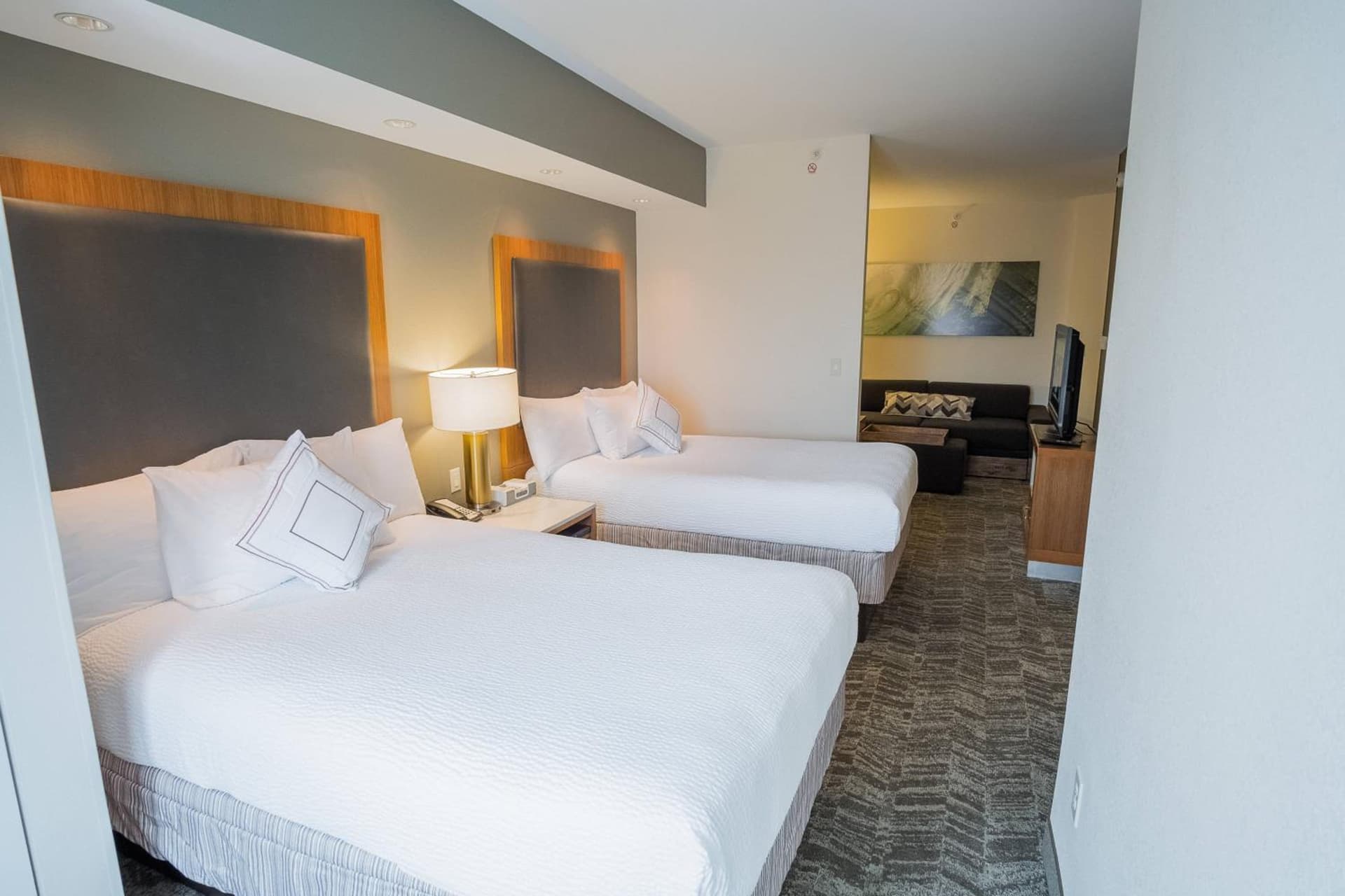 SpringHill Suites by Marriott Winston-Salem Hanes Mall gallery photo in Winston-Salem, NC — image 17