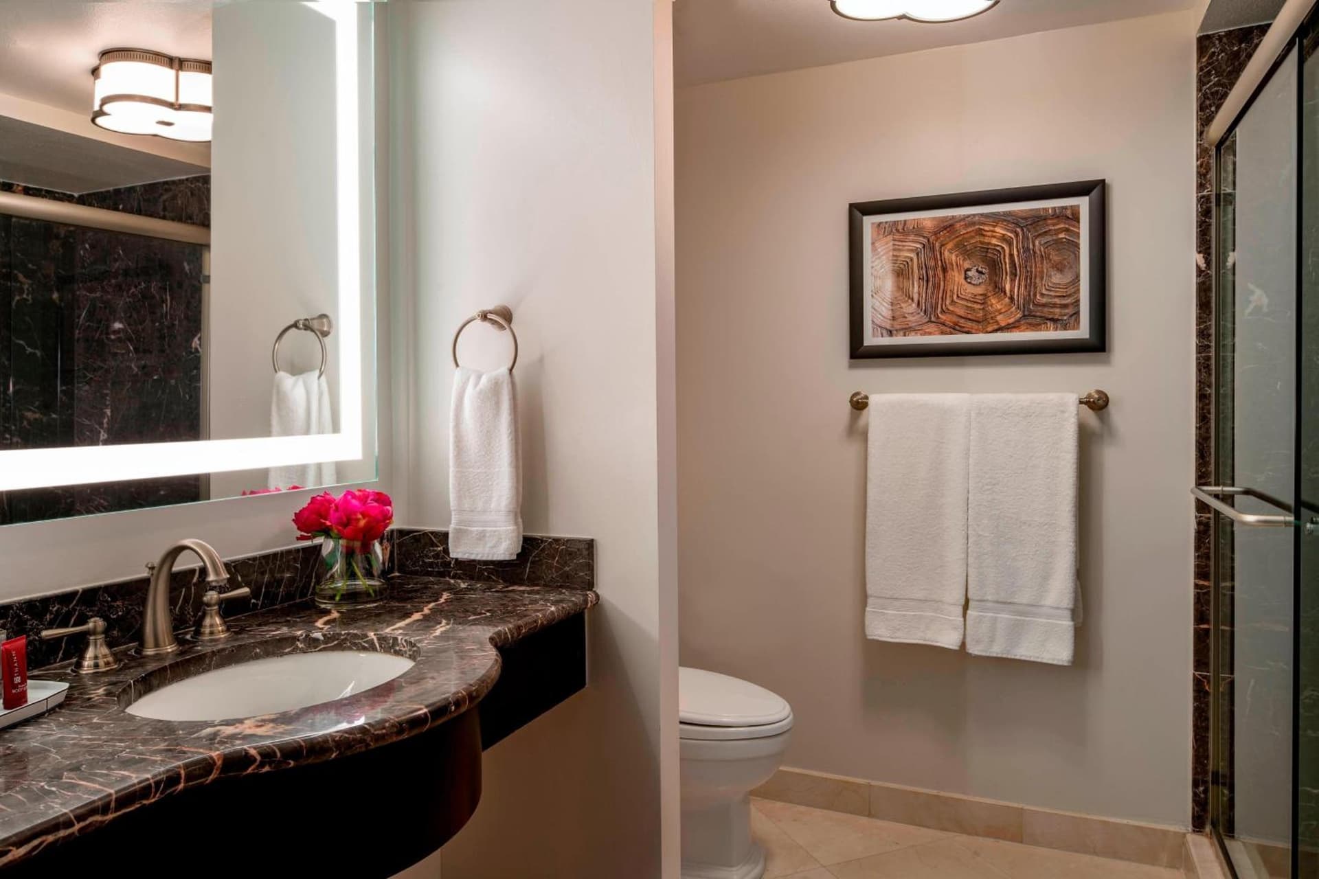 Hollywood Beach Marriott gallery photo in Hollywood, FL — image 10
