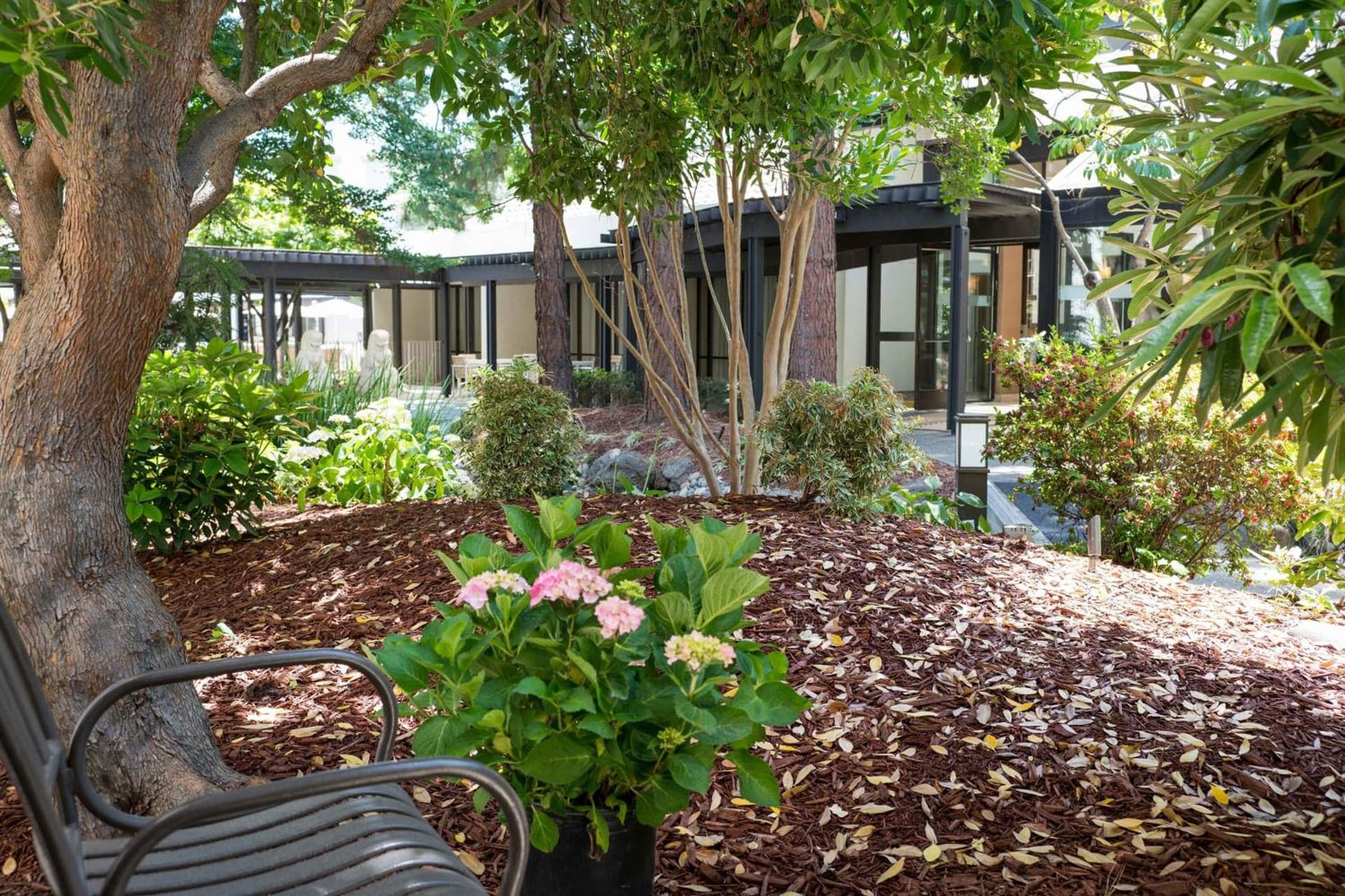 Sheraton Palo Alto Hotel gallery photo in Palo Alto, CA — image 21