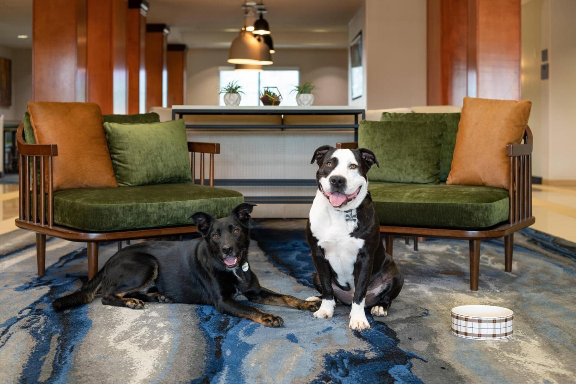 Fairfield Inn & Suites Redding gallery photo in Redding, CA — image 13