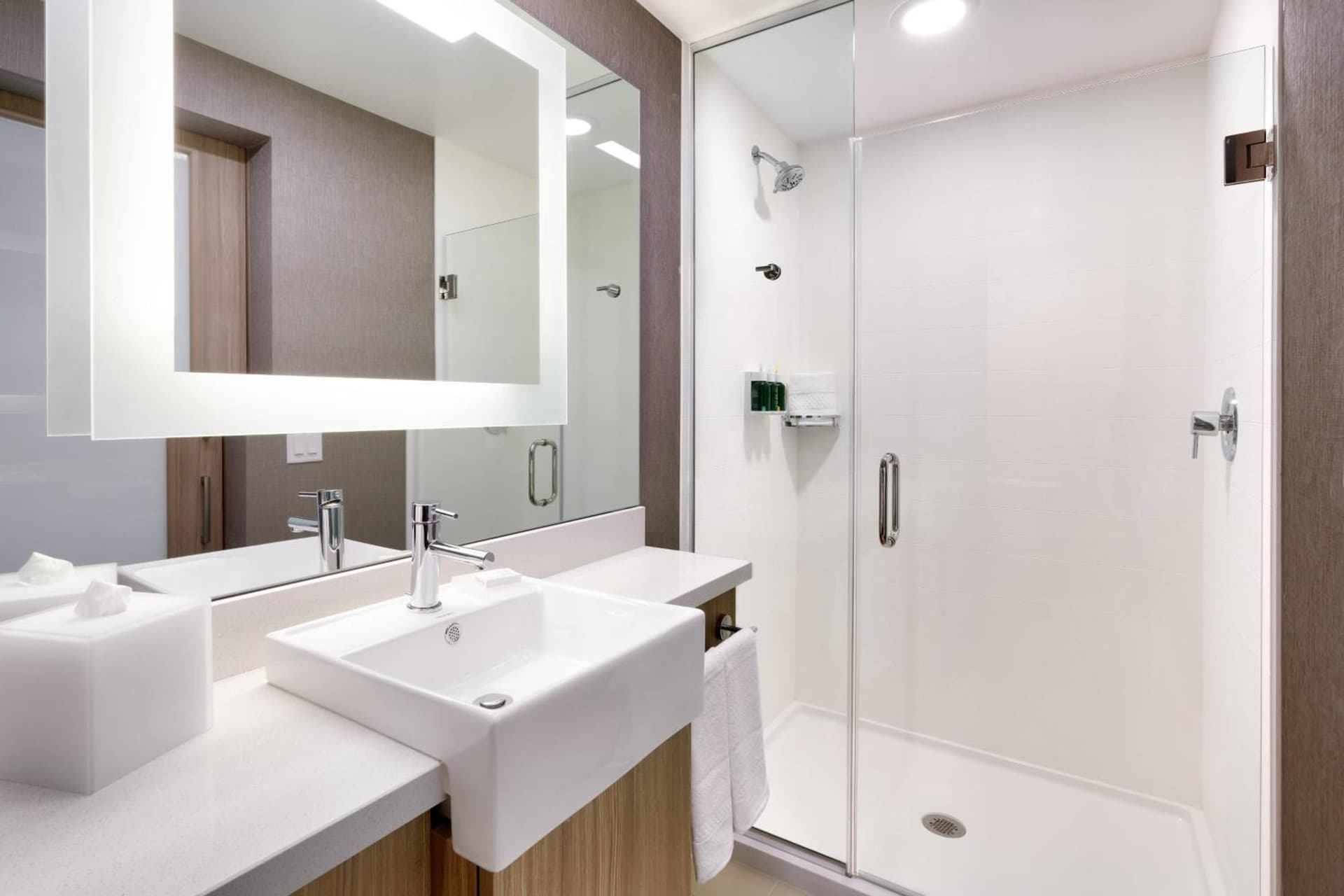 SpringHill Suites by Marriott Salt Lake City Sugar House gallery photo in Salt Lake City, UT — image 5