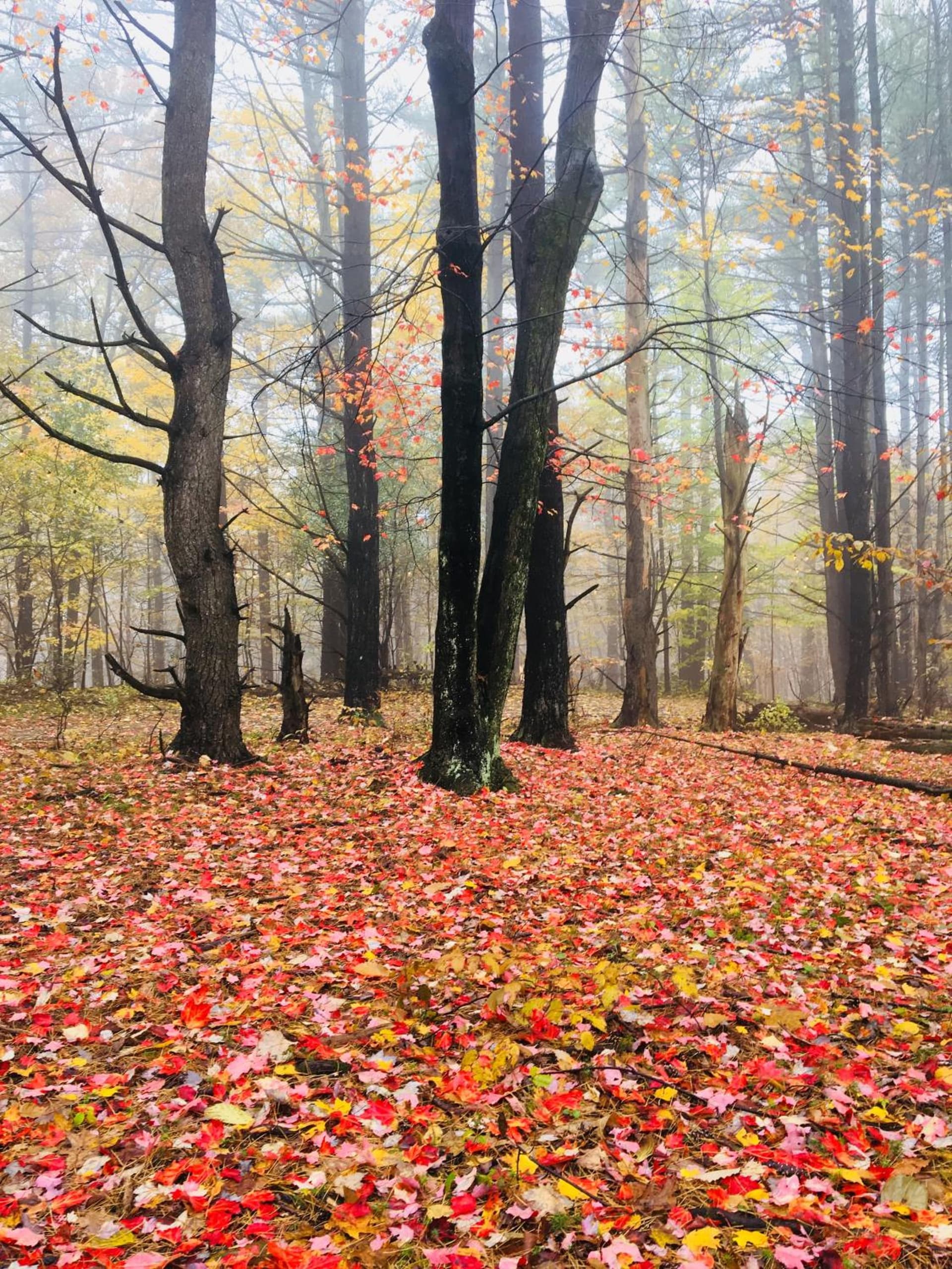 Gather Greene gallery photo in Coxsackie — image 12