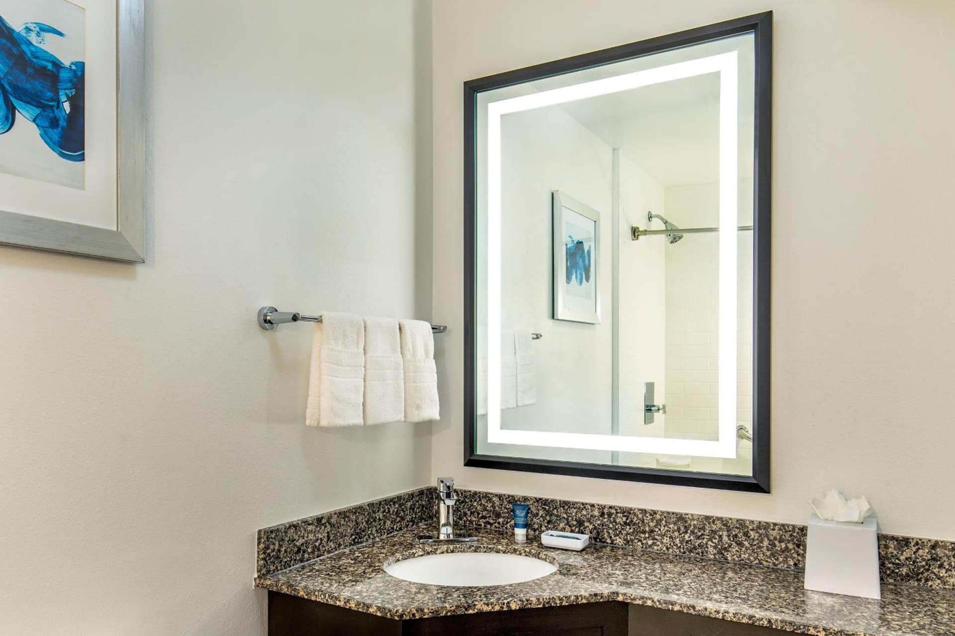 Four Points by Sheraton Kalamazoo gallery photo in Kalamazoo, MI — image 18