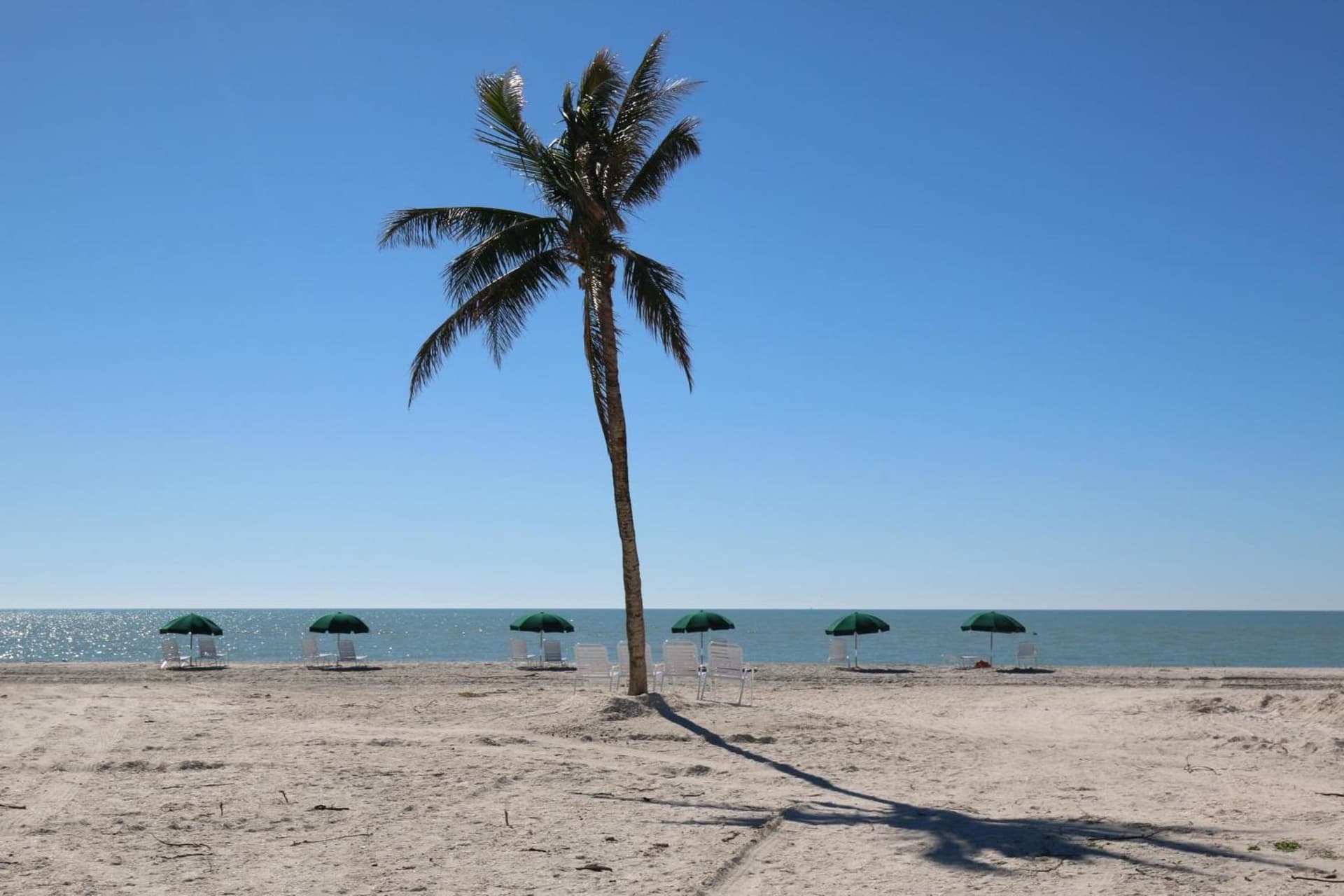 Island Inn gallery photo in Sanibel, FL — image 15