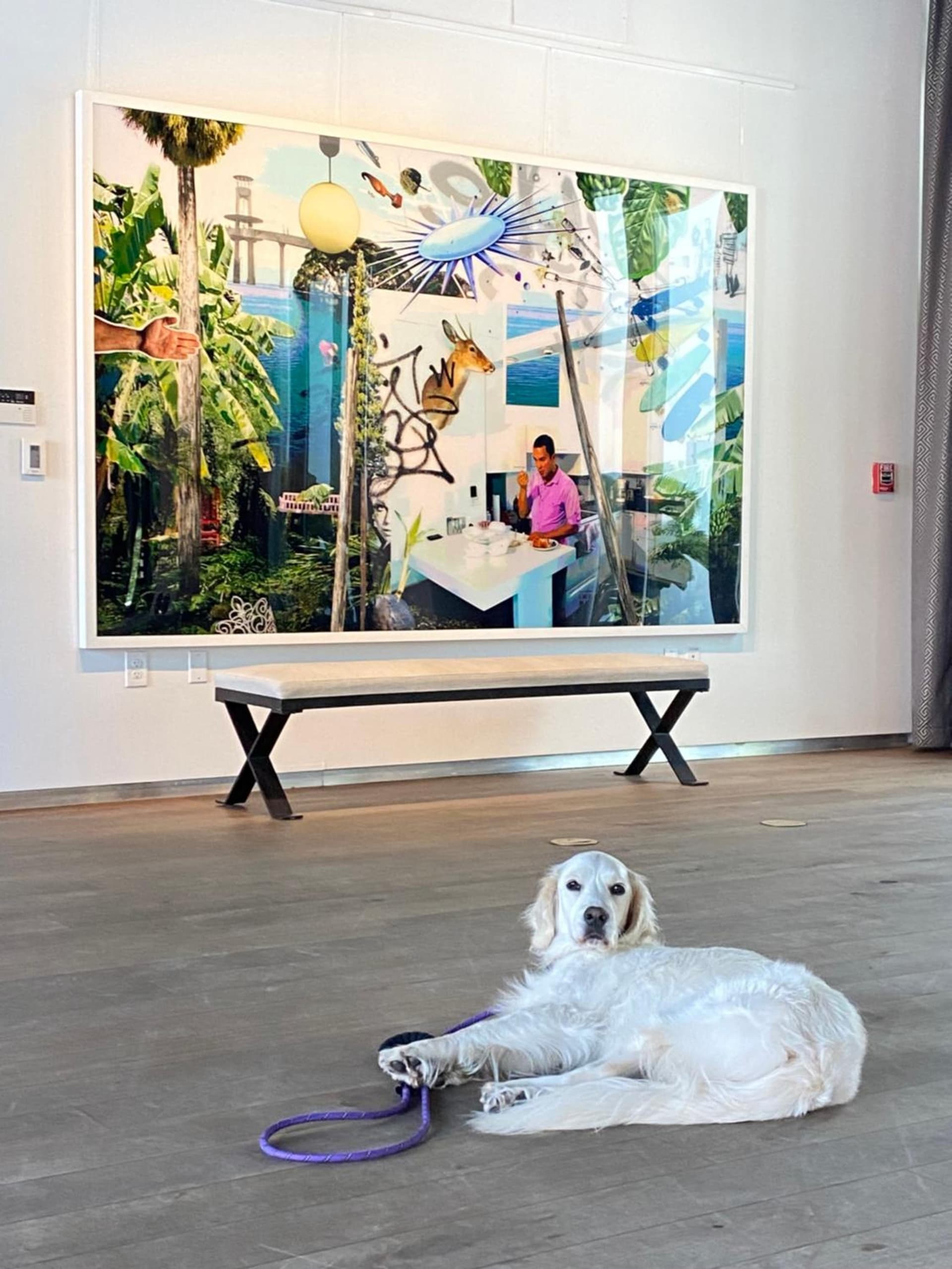 The Betsy Hotel, South Beach gallery photo in Miami Beach, FL — image 54