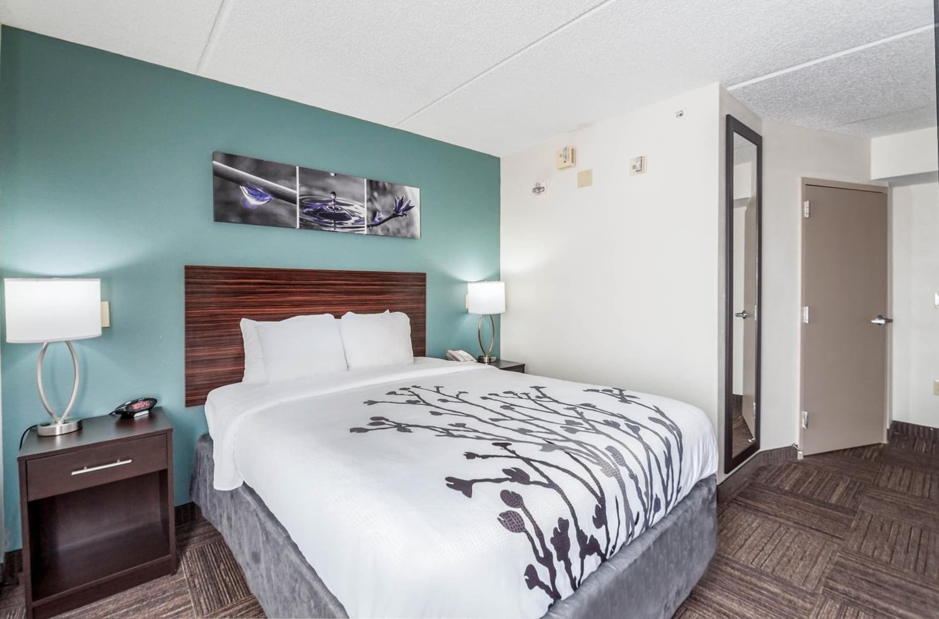 Sleep Inn & Suites Rehoboth Beach gallery photo in Rehoboth Beach, DE — image 4