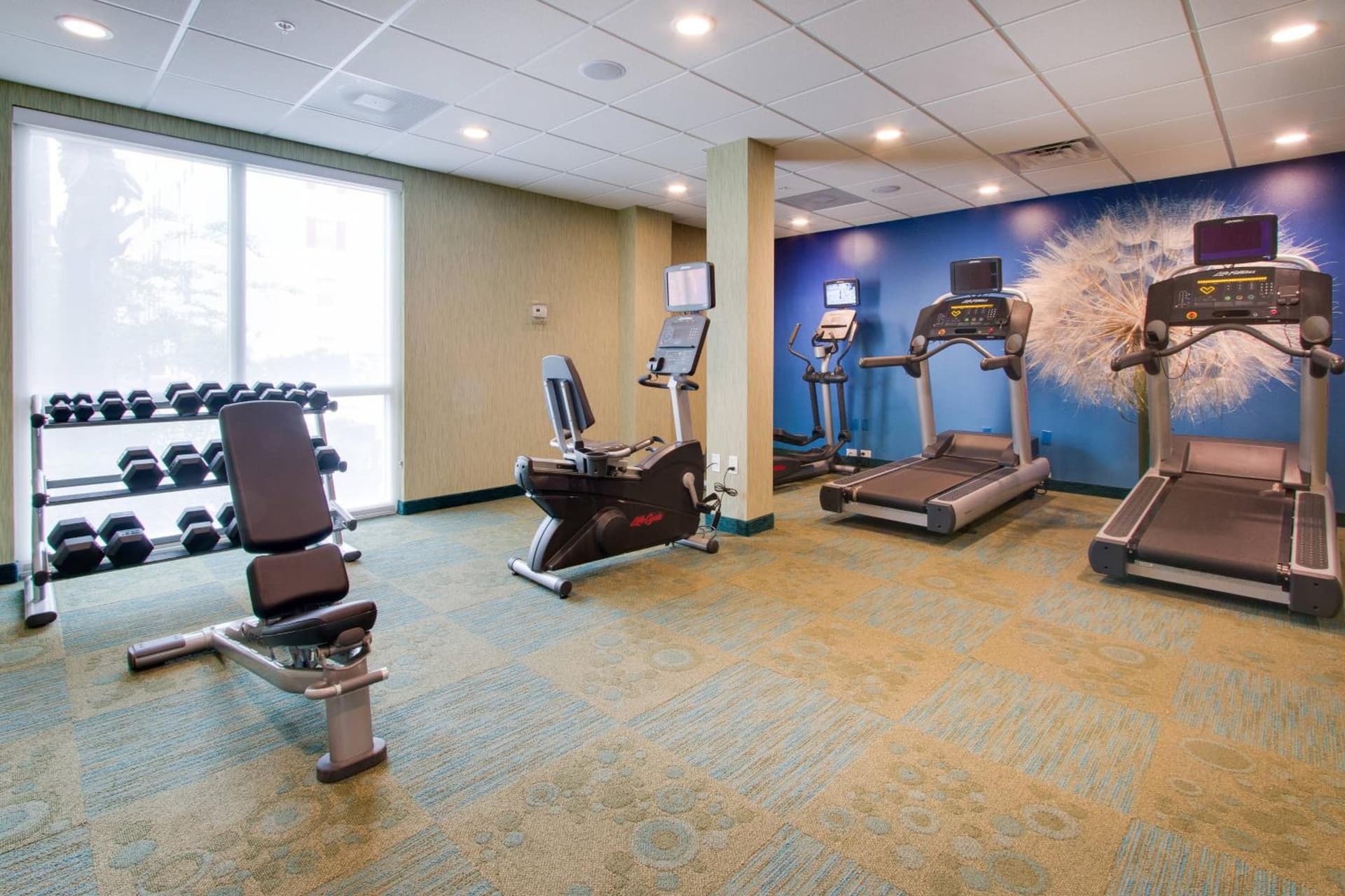 SpringHill Suites by Marriott Orlando Lake Buena Vista South gallery photo in Kissimmee, FL — image 11