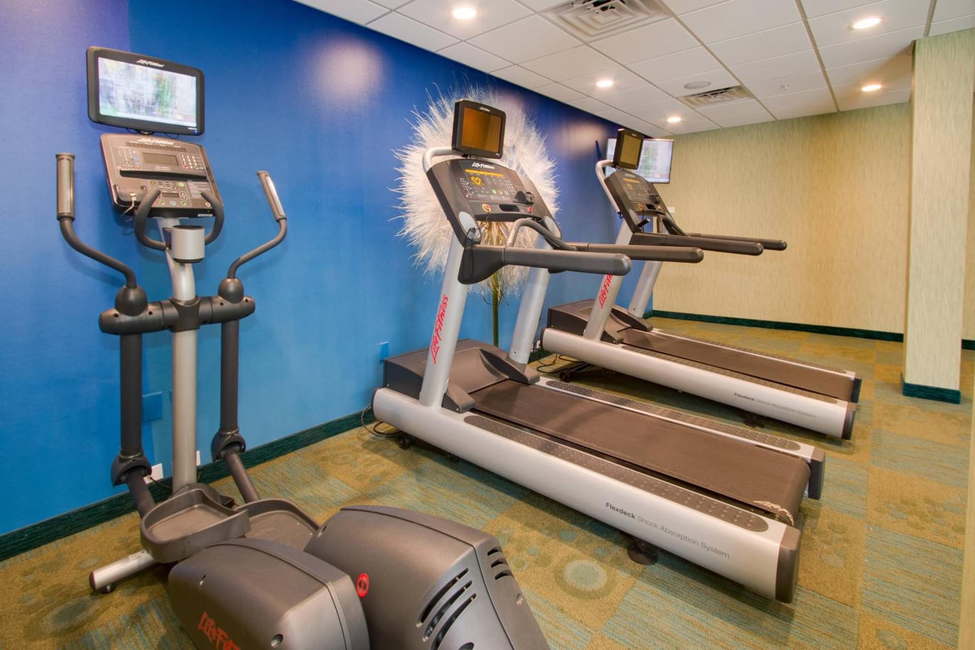 SpringHill Suites by Marriott Orlando Lake Buena Vista South gallery photo in Kissimmee, FL — image 12