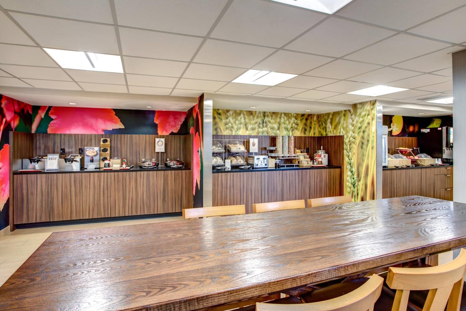 Fairfield Inn & Suites by Marriott Springfield Holyoke gallery photo in Holyoke, MA — image 14